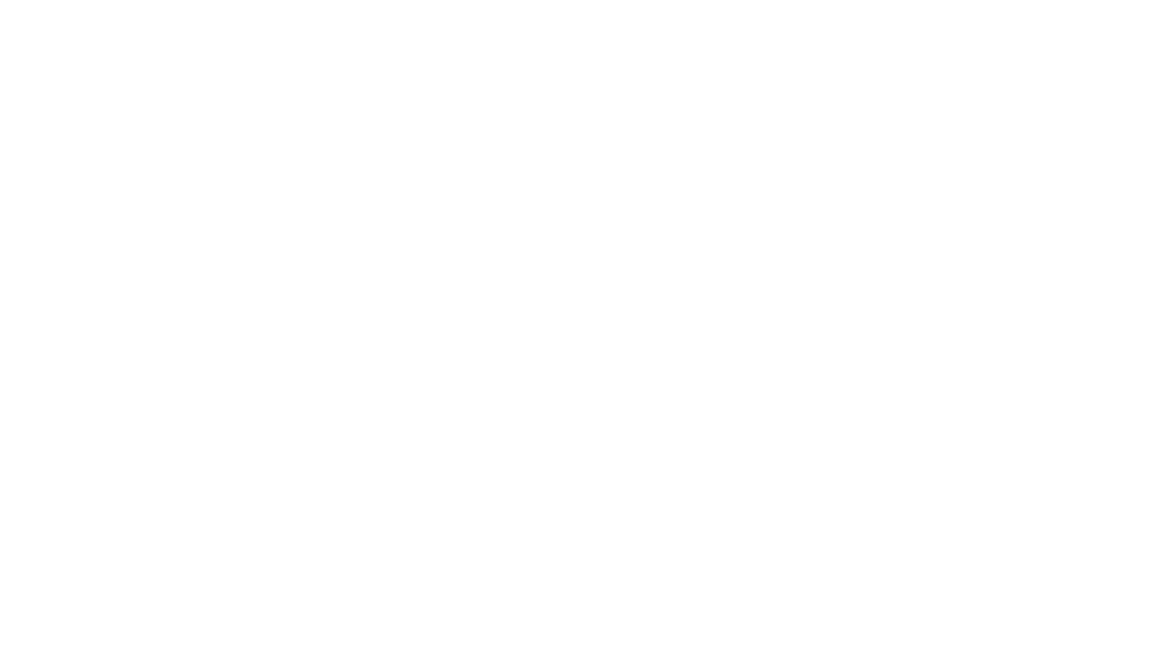K9 Sport Sack logo