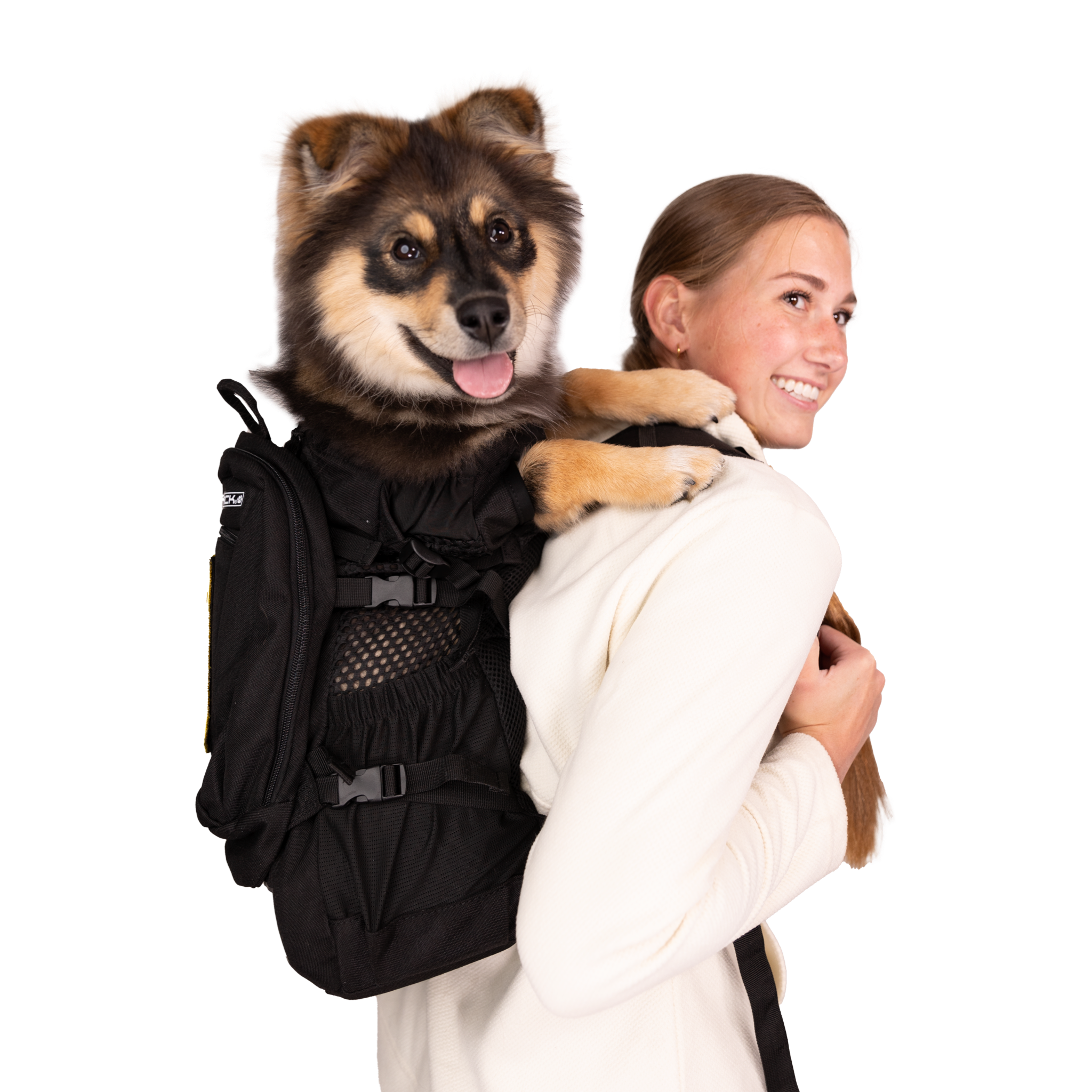 Fashion Dog Purse Carrier for Small Dogs with Extra Large Pocket