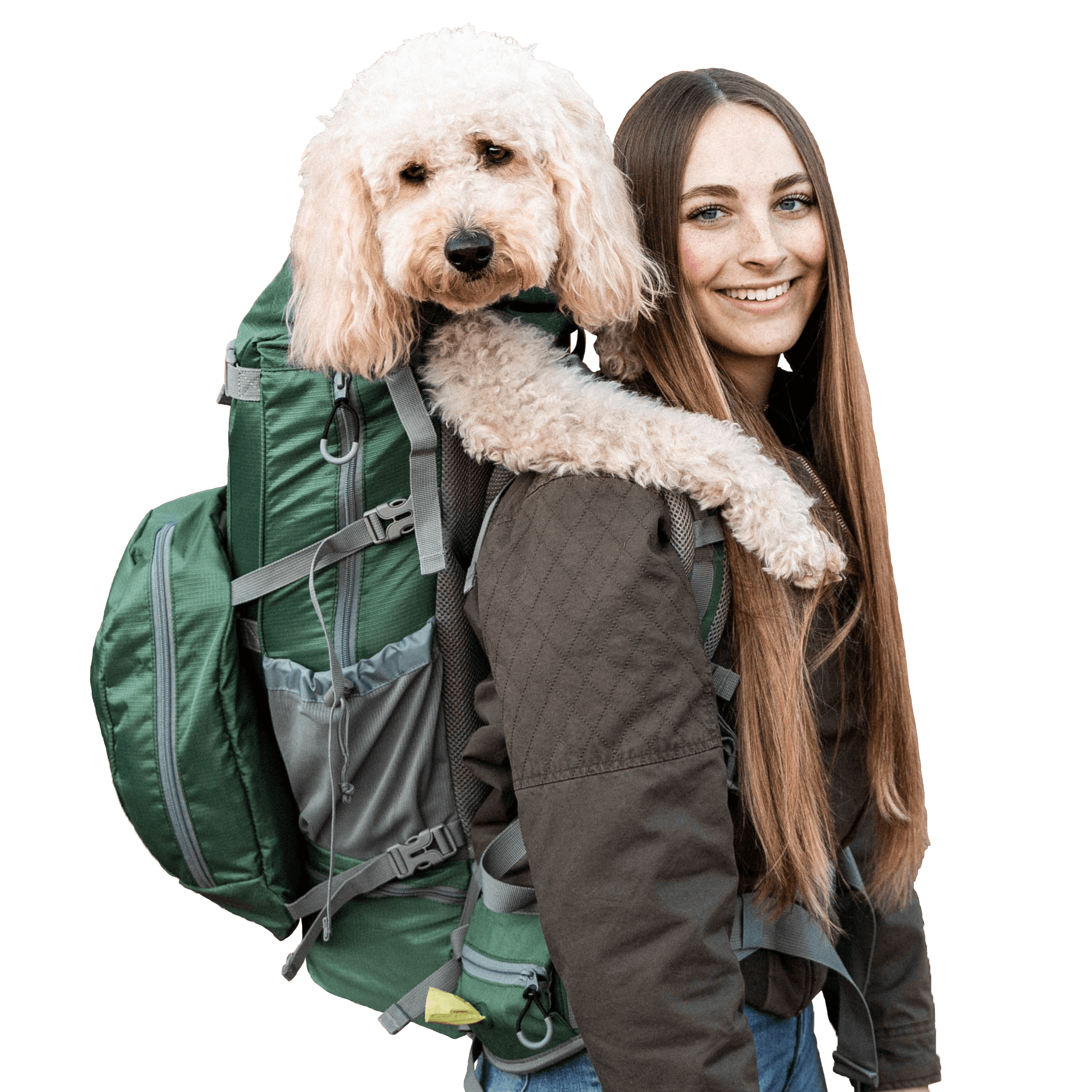 K9 Sport Sack Rover 2 Green Big Dog Carrier & Backpacking Pack, Large