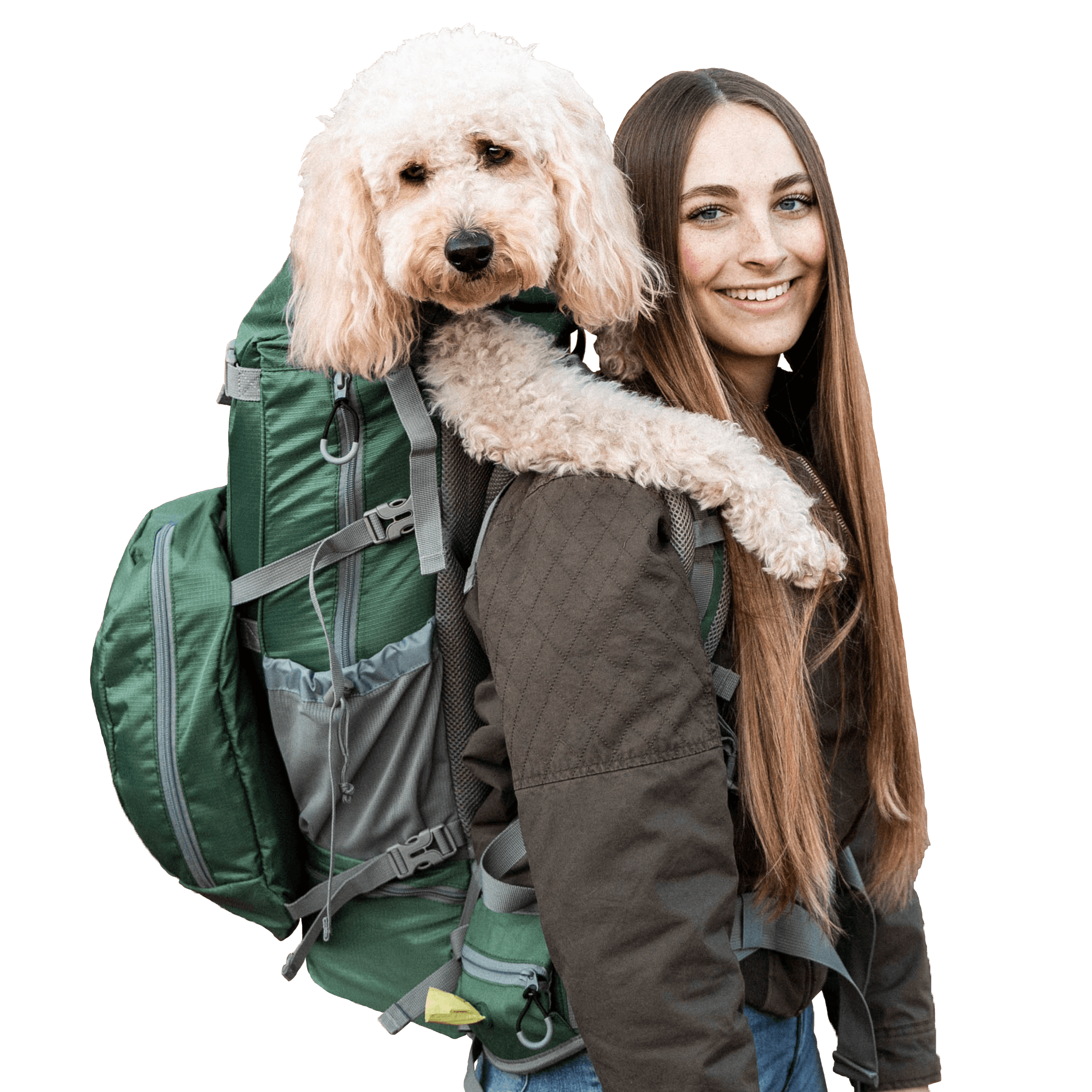 Best Dog Backpack Harness To Wear