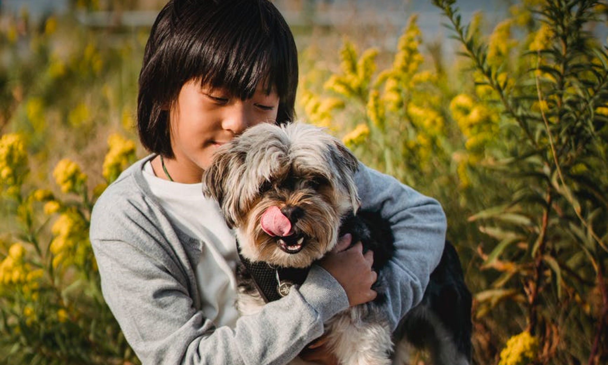 5 Things to Consider Before Getting Your Child a Dog
