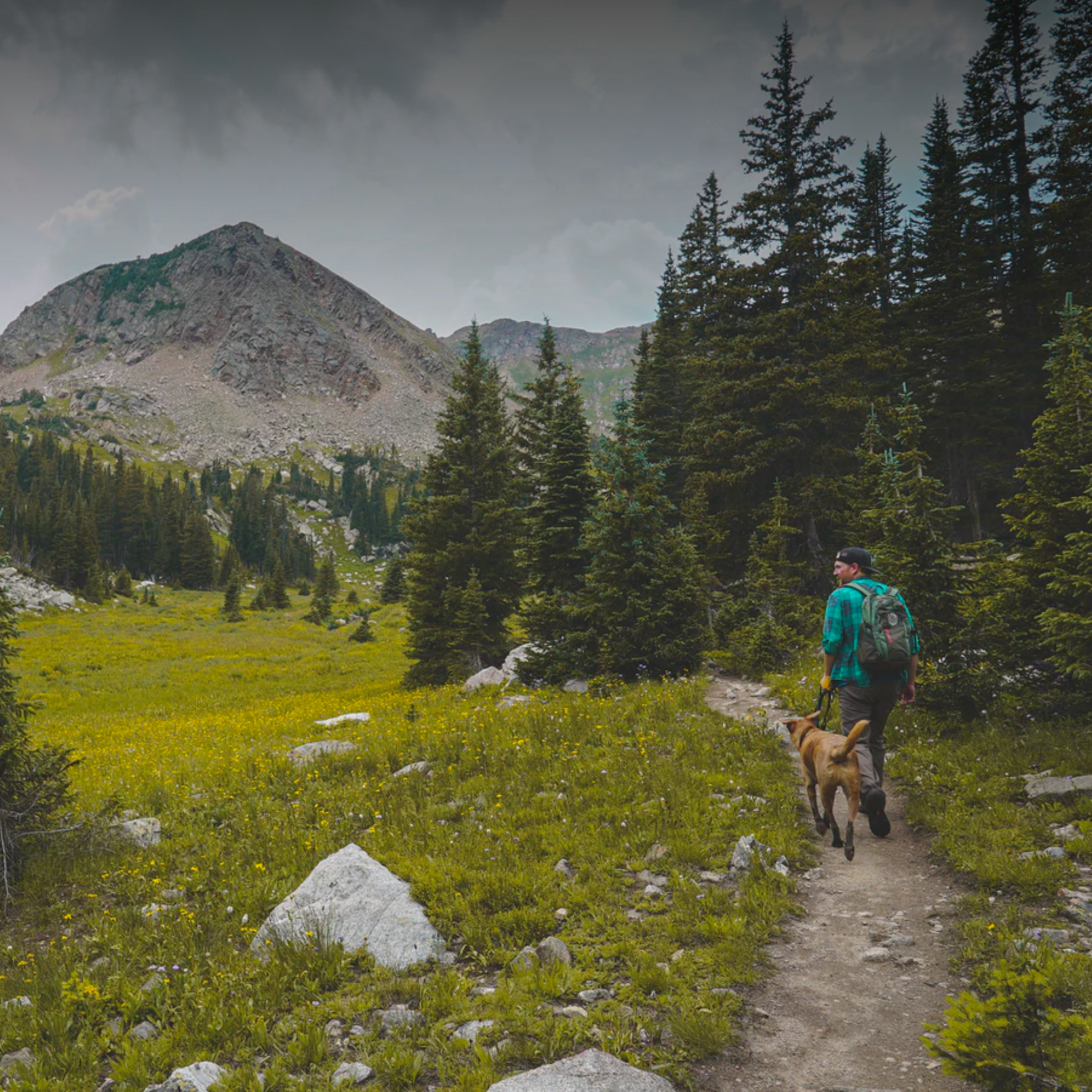 A man hikes along a trail in the mountains with his dog by his side.