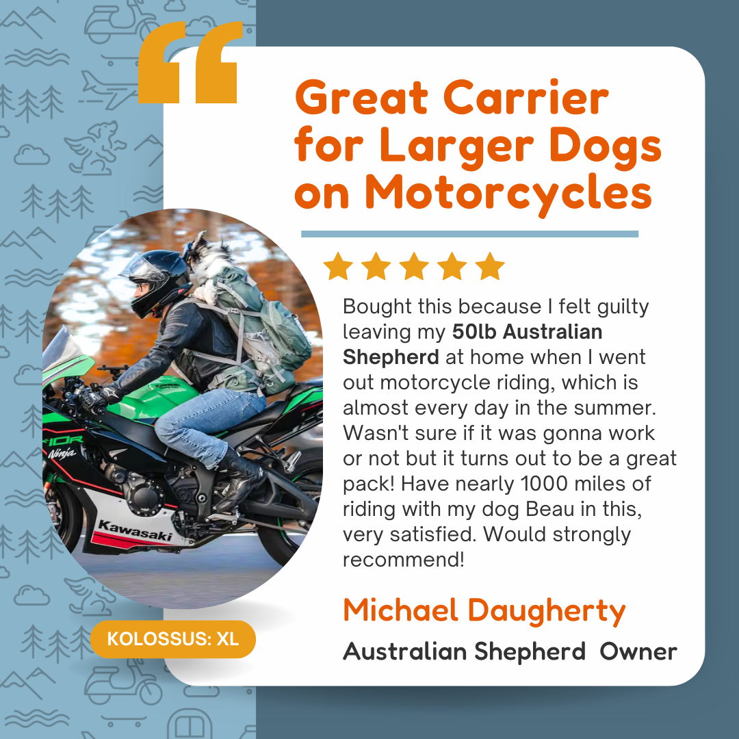 The Best Australian Shepherd Backpack Carrier for Hiking and Travel