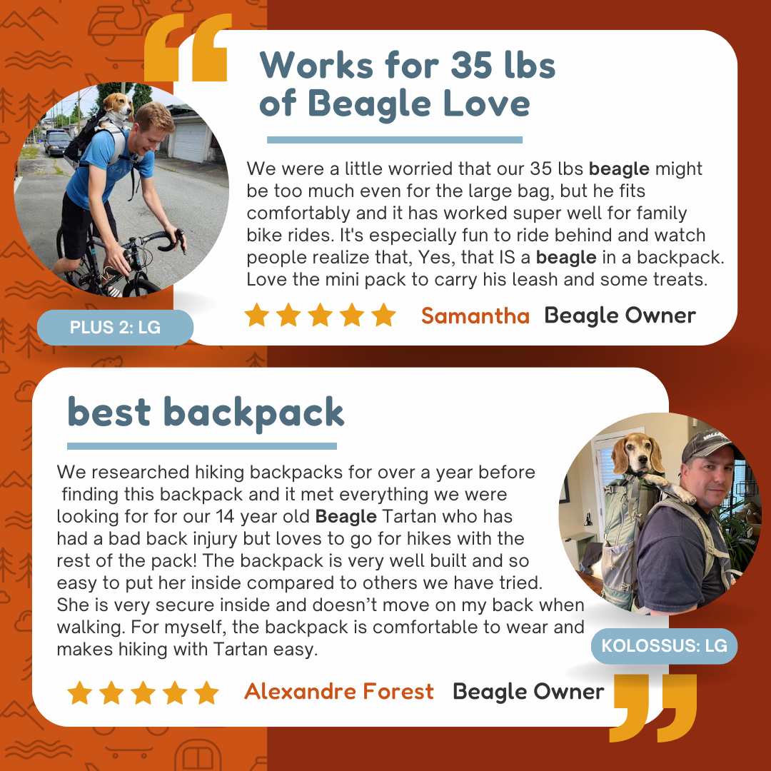 The Ultimate Guide to Beagle Backpack Carriers