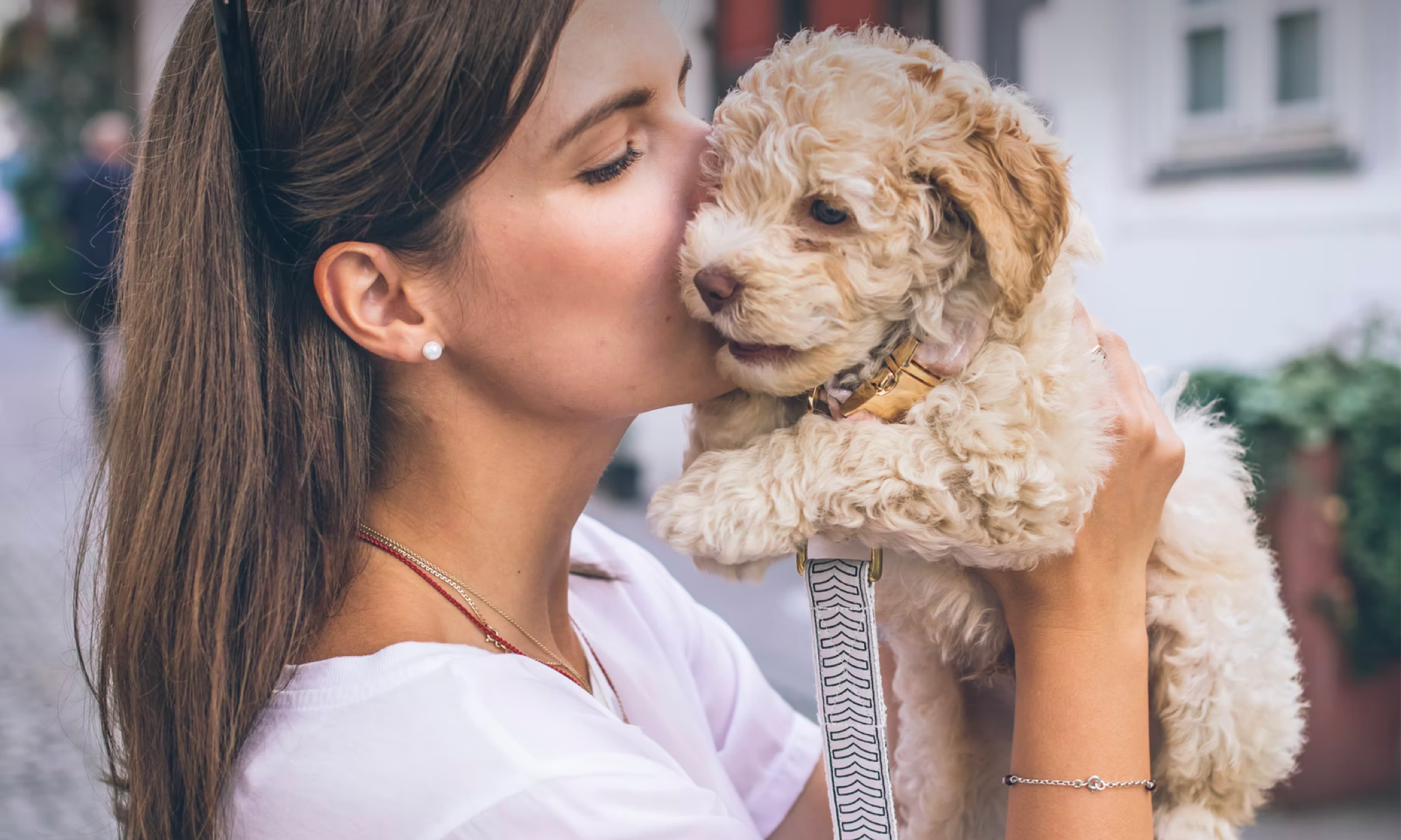 Building Engagement with your Dog