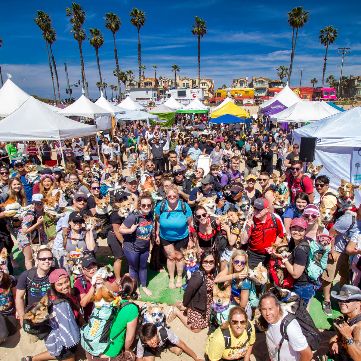 The Ultimate Guide to Finding the Best Shih Tzu Backpack Carrier K9