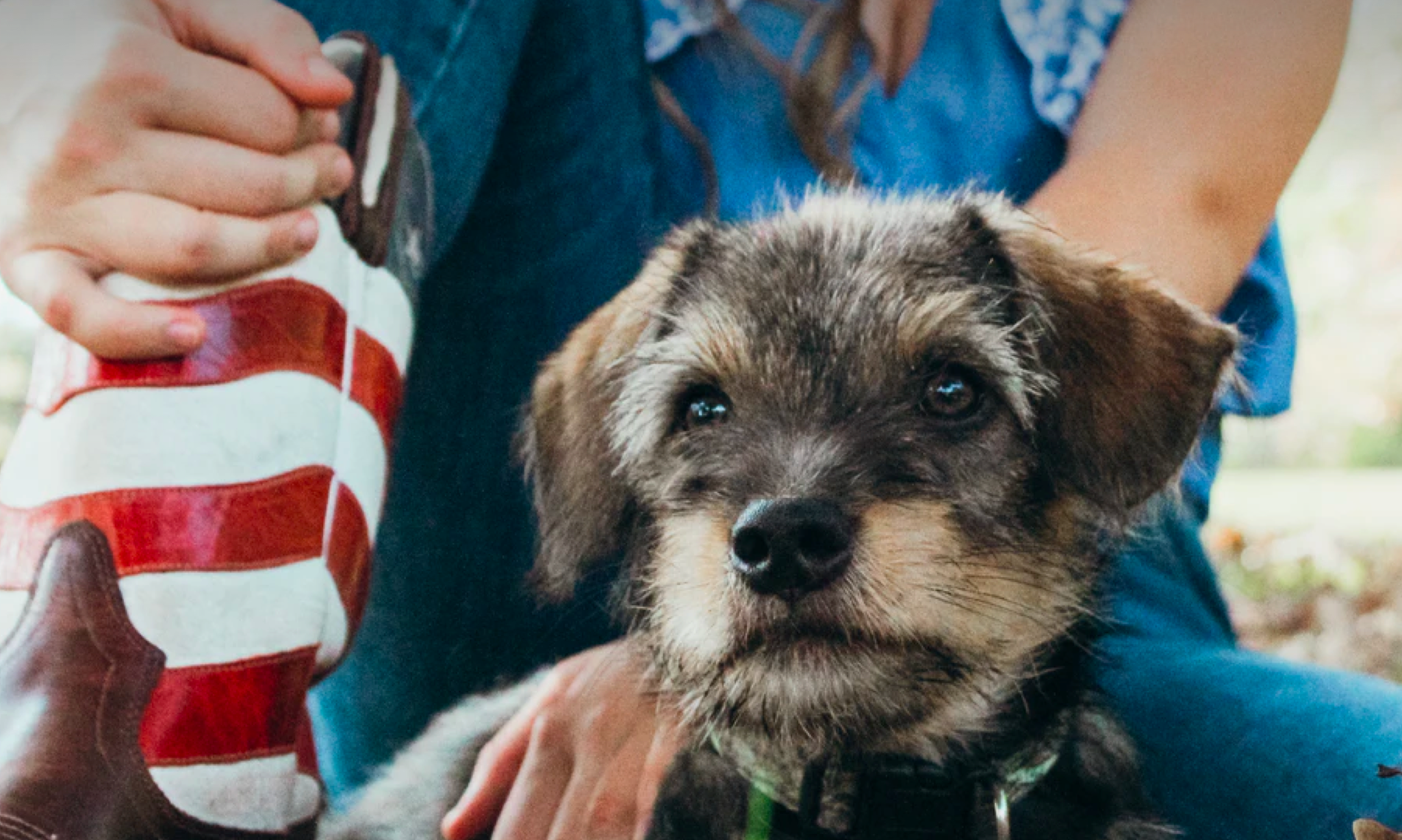 Tips for a Fun & Safe July 4th with your Dog