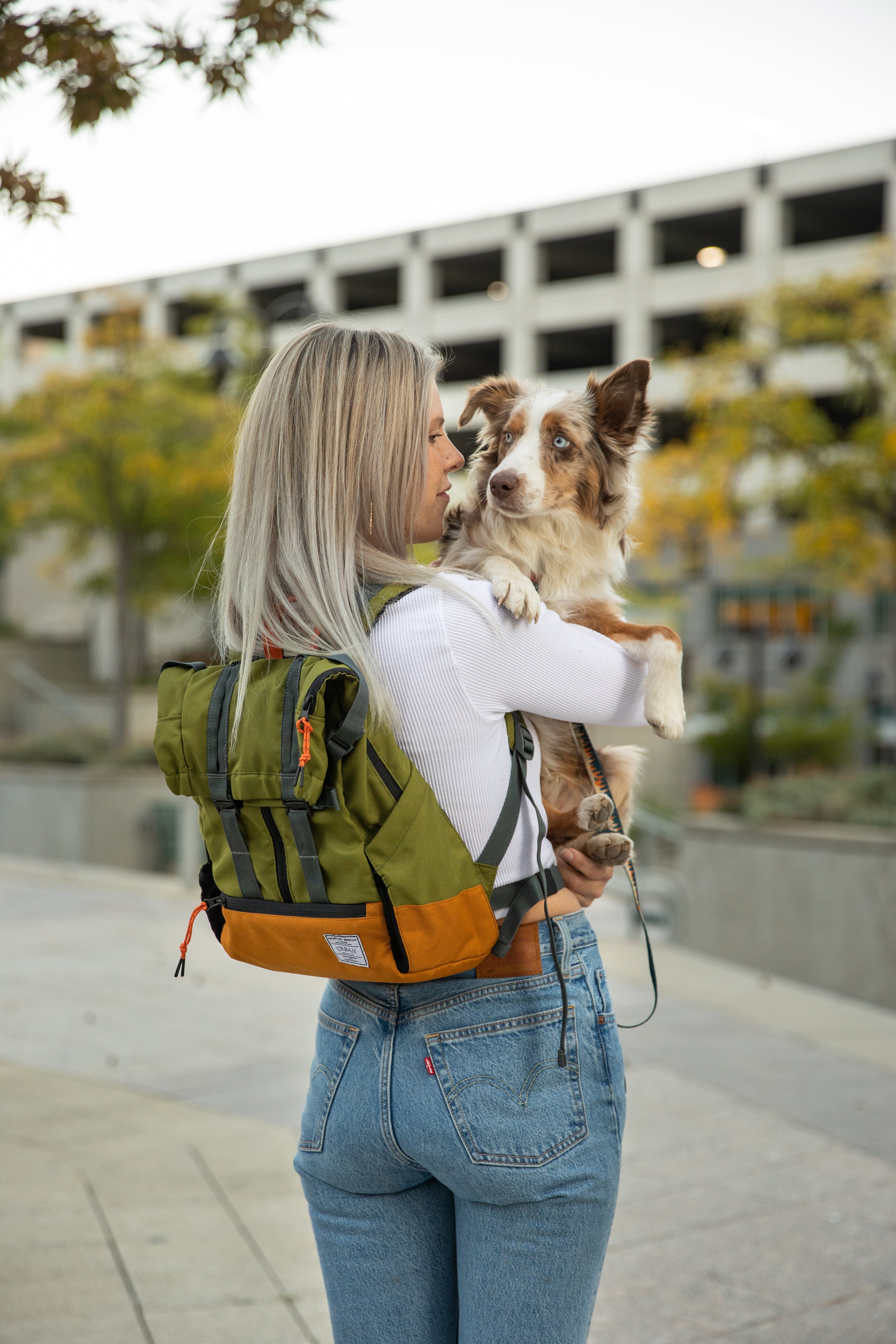 The Ultimate Guide to Urban 3 Dog Backpacks