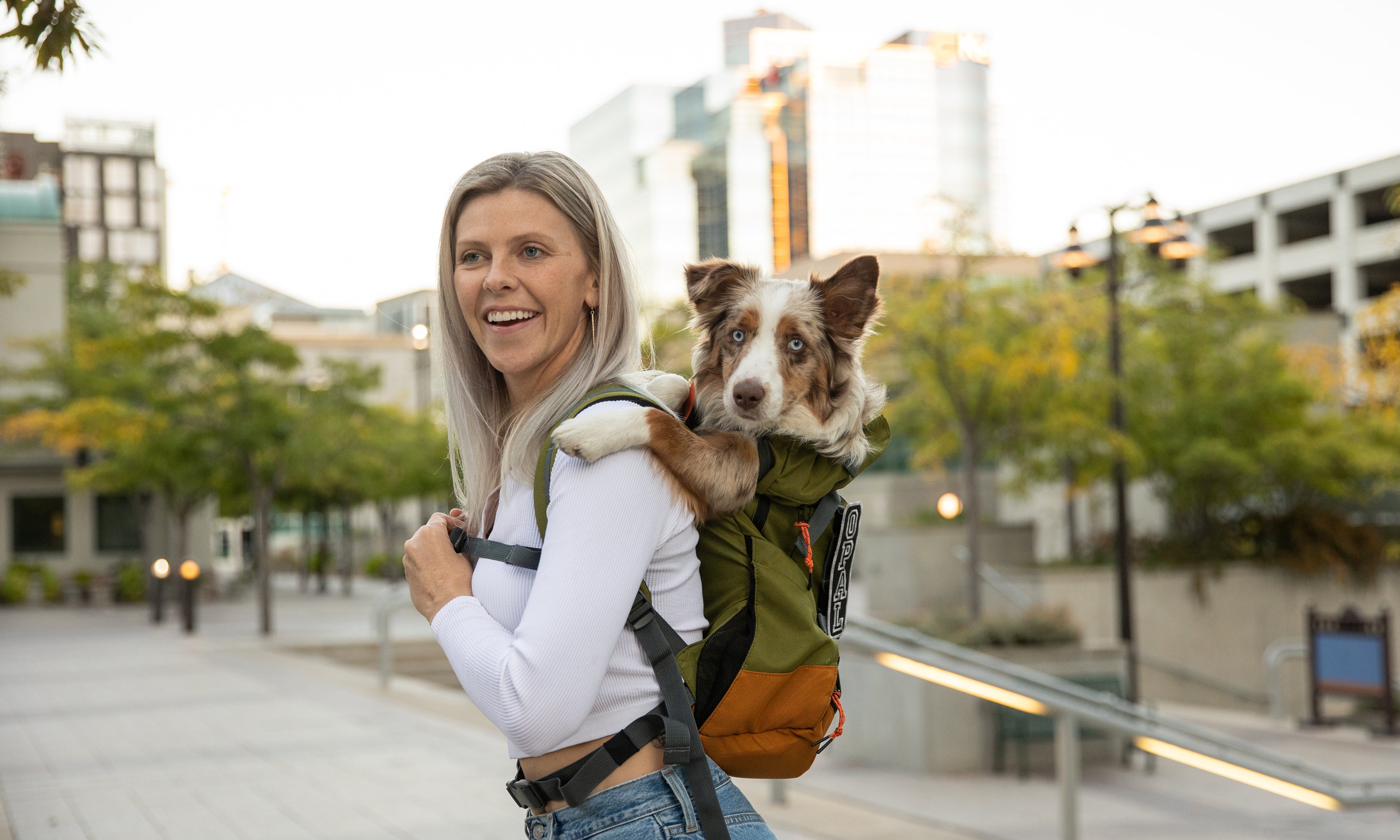 The Ultimate Guide to Boxer Dog Backpack Carriers