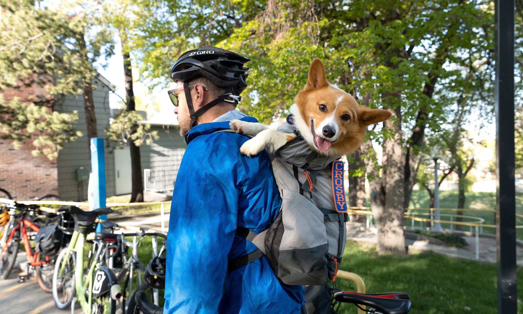 Guide to Choosing an Animal Carrier Backpack