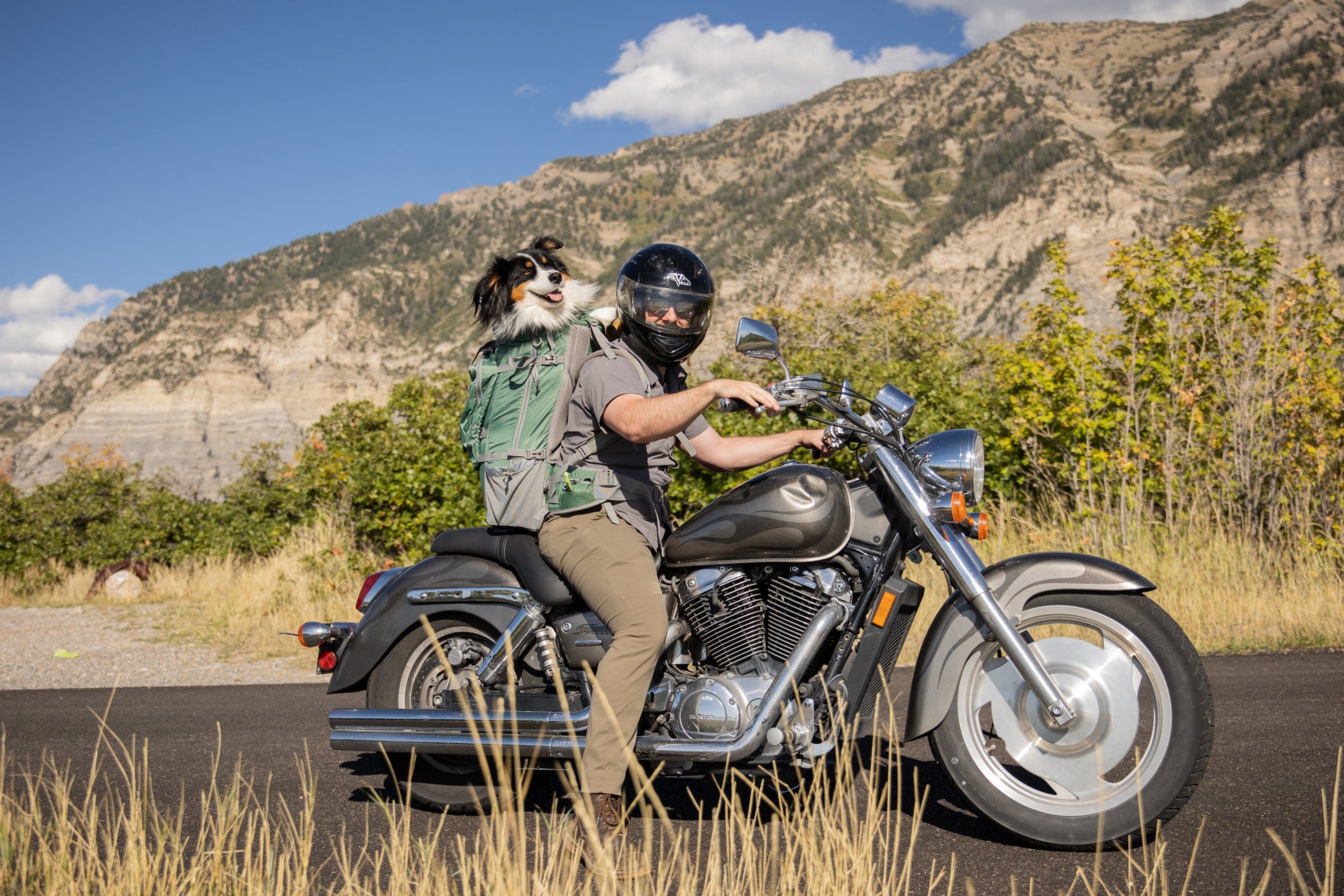 The Ultimate Guide to the Knavigate Dog Backpack K9 Sport Sack