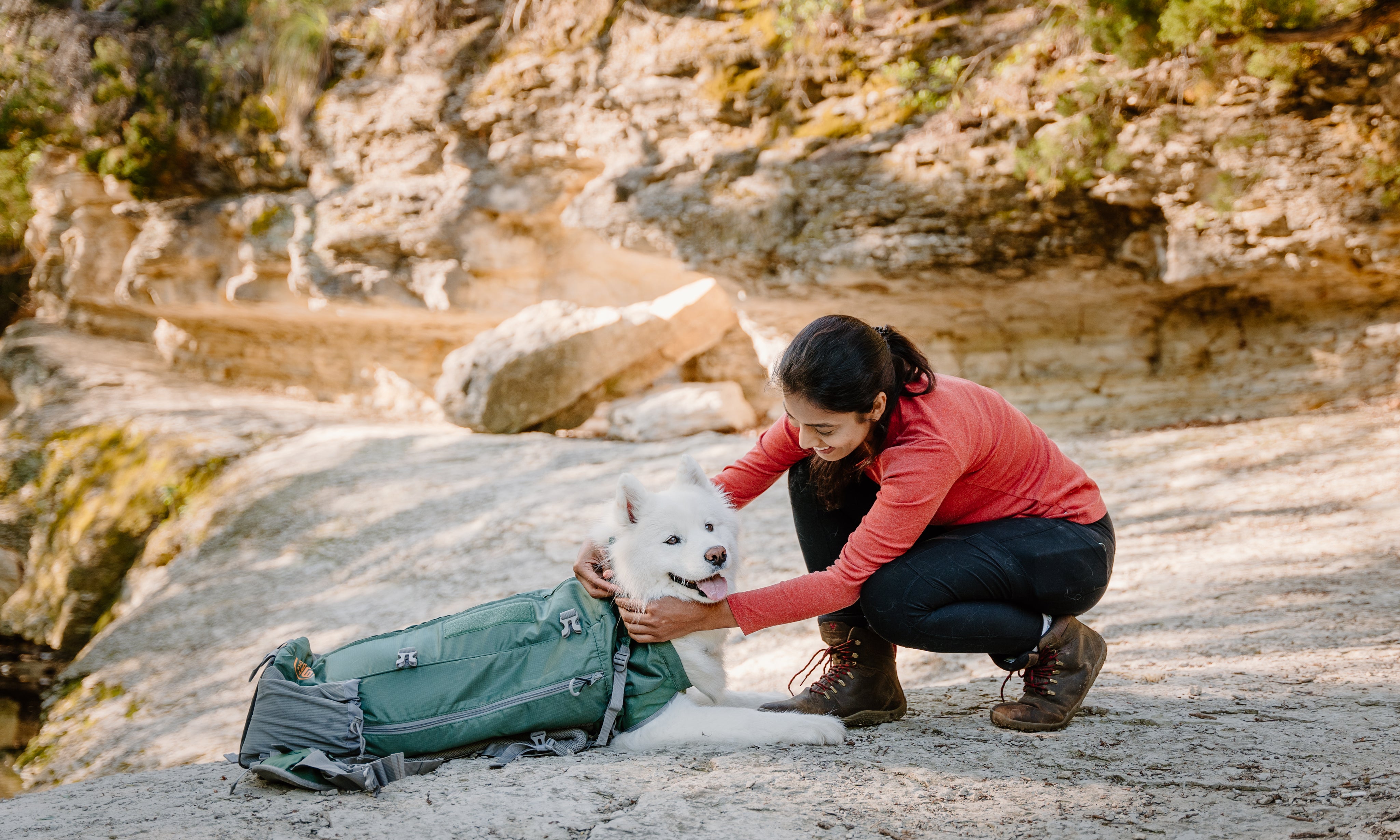 The Best Small Dog Hiking Backpacks for Your Next Adventure