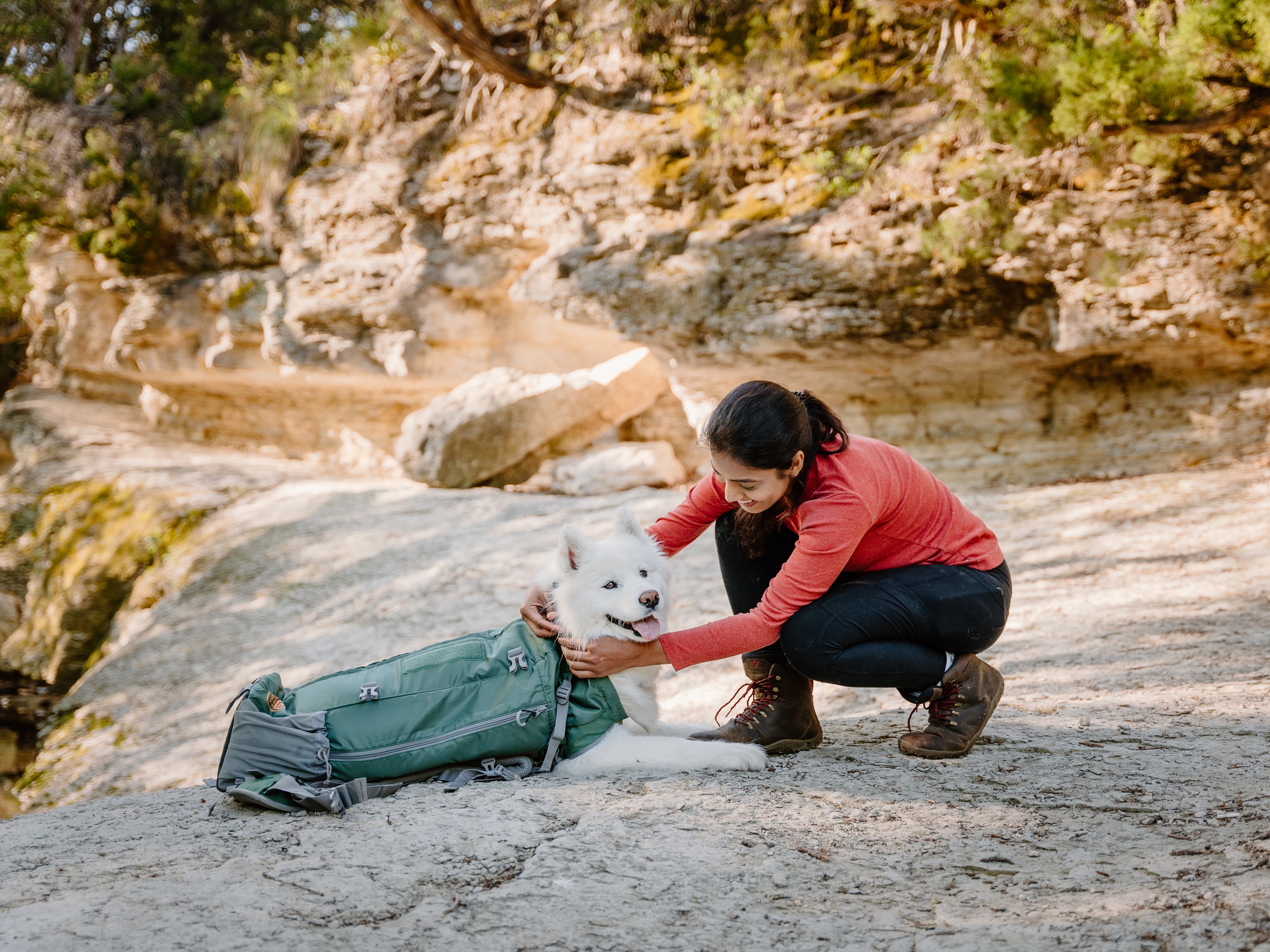 The Best Small Dog Hiking Backpacks for Your Next Adventure