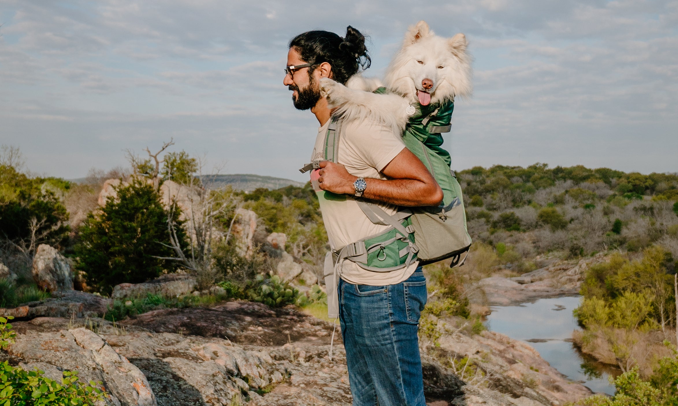 The Ultimate Guide to Choosing a Wearable Dog Carrier