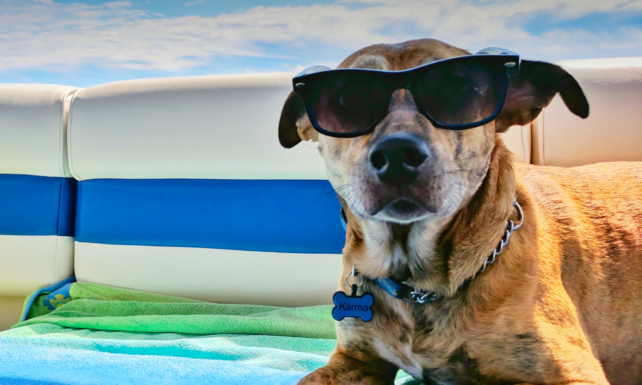A dog basking in the sun on a beachtowel while wearing sunglasses