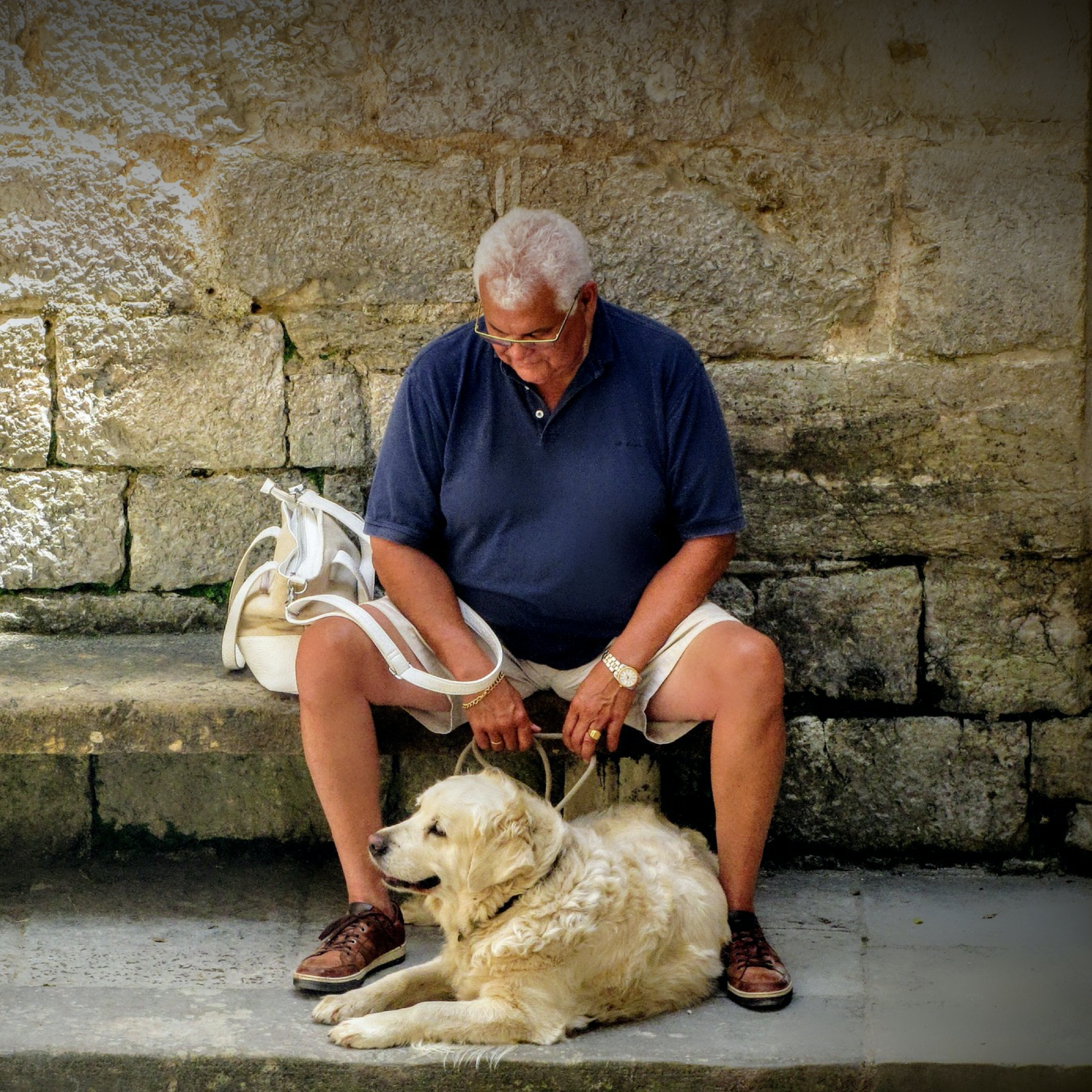 Power of Pets for Healing Seniors