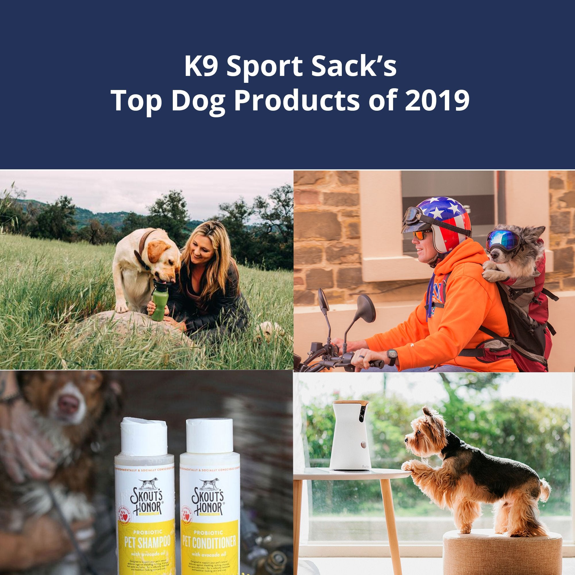K9 Sport Sack's Top Dog Products of 2019