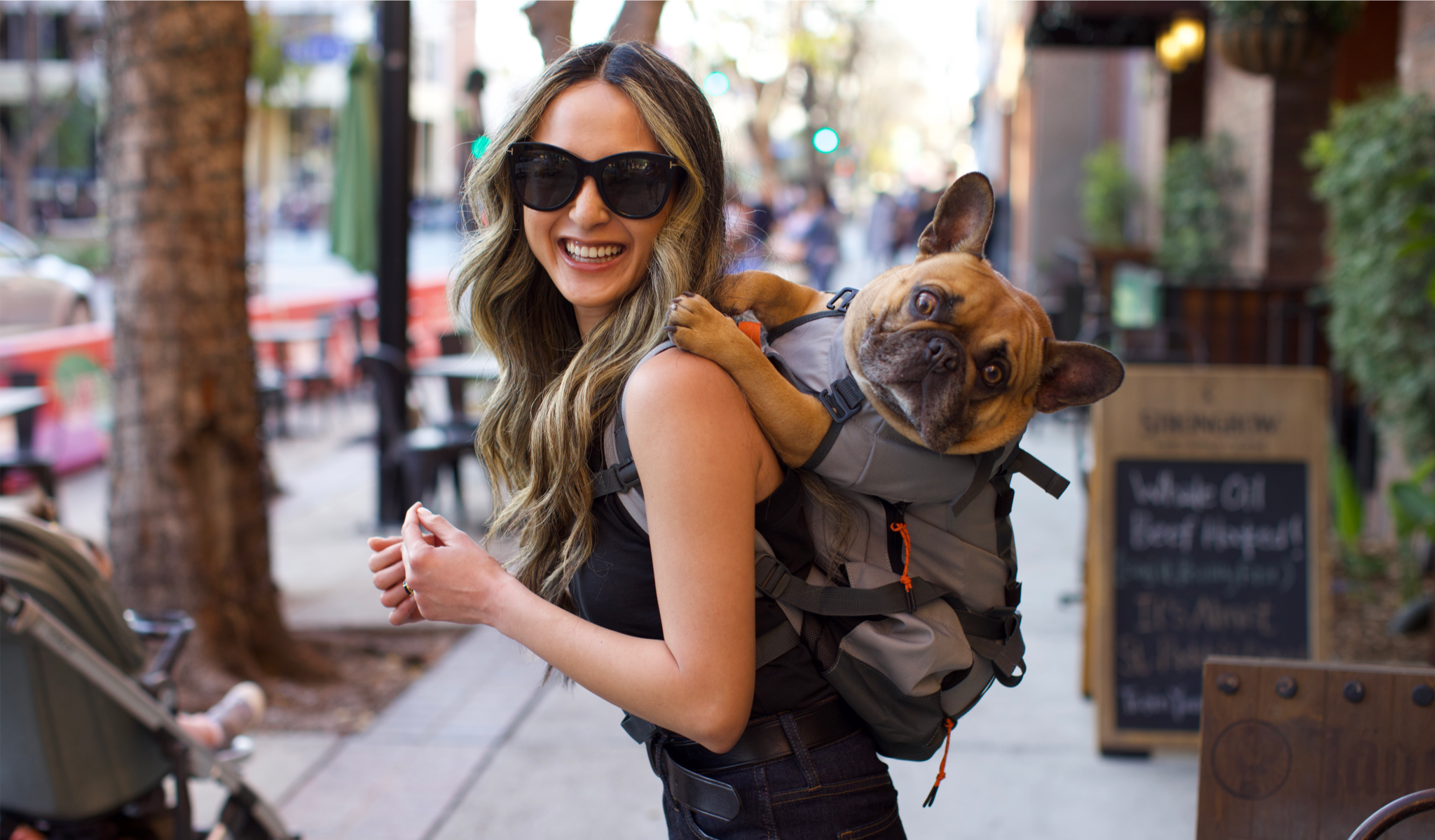 The Best Mini Dog Backpacks for Your Pint-Sized Pup