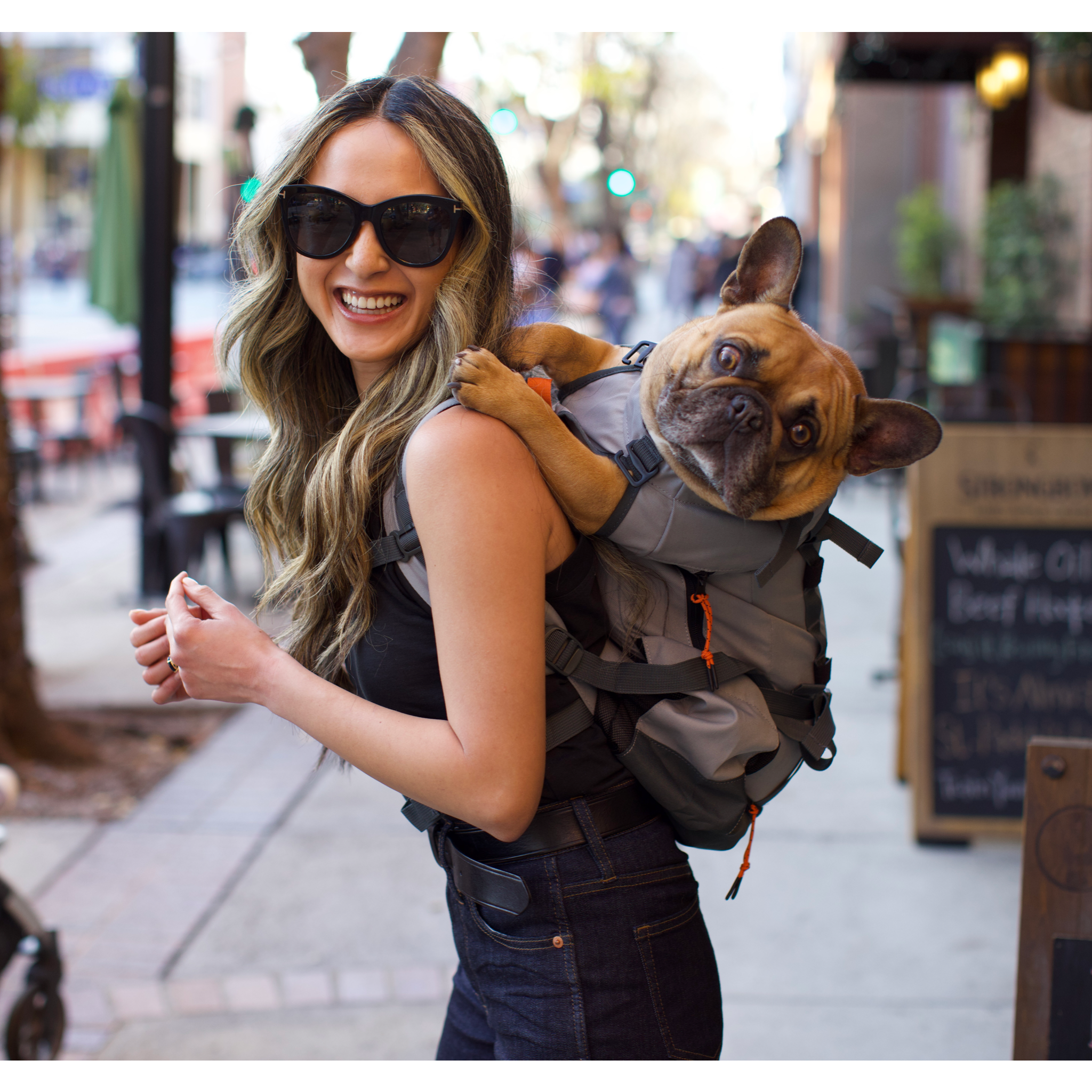 How long can a dog stay in a carrier?
