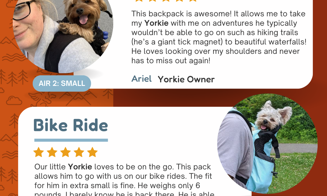 The Ultimate Guide to Yorkshire Terrier Backpack Carriers