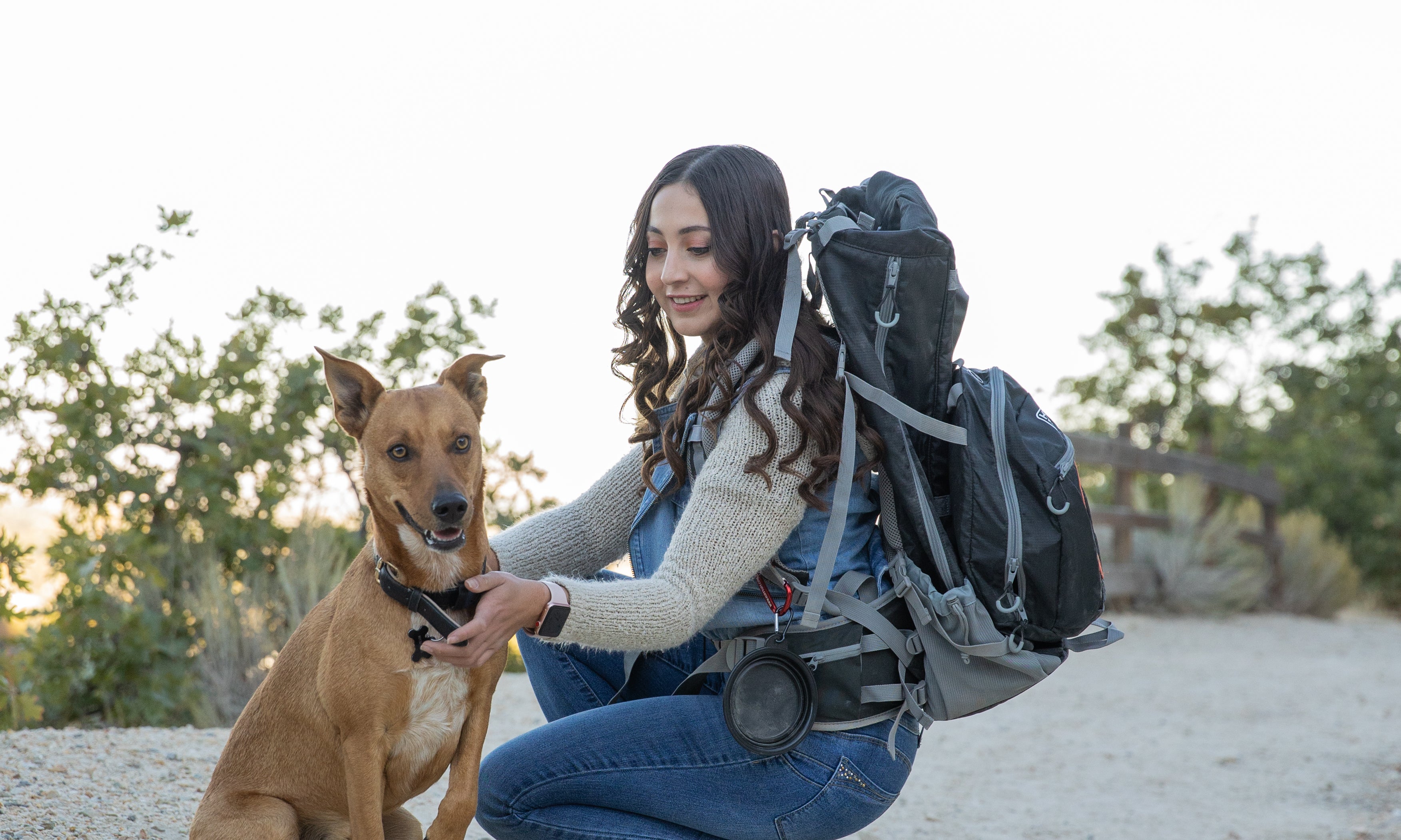 The Ultimate Guide to Cat Travel Backpacks