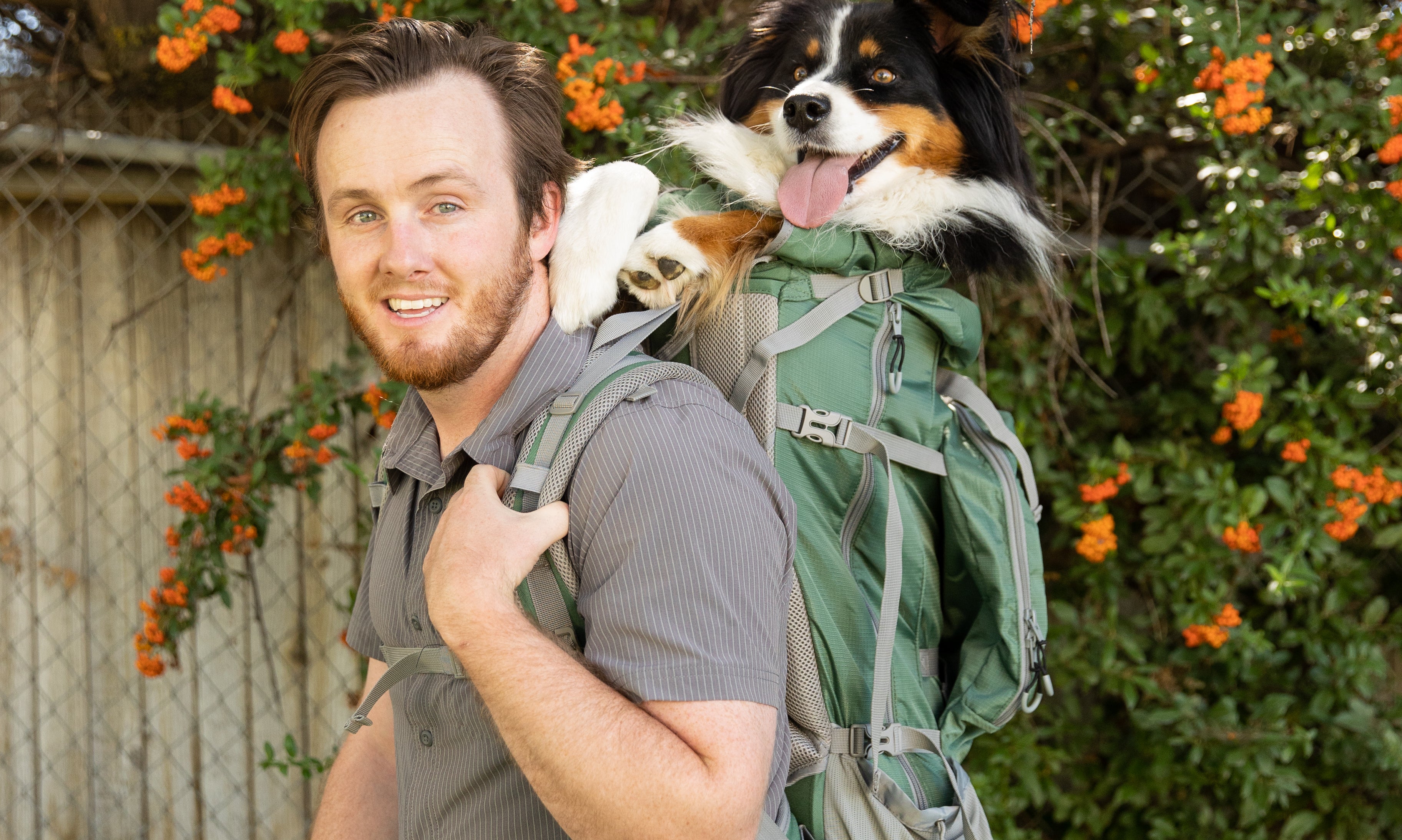 The Best Golden Retriever Backpack Carrier for Your Furry Friend