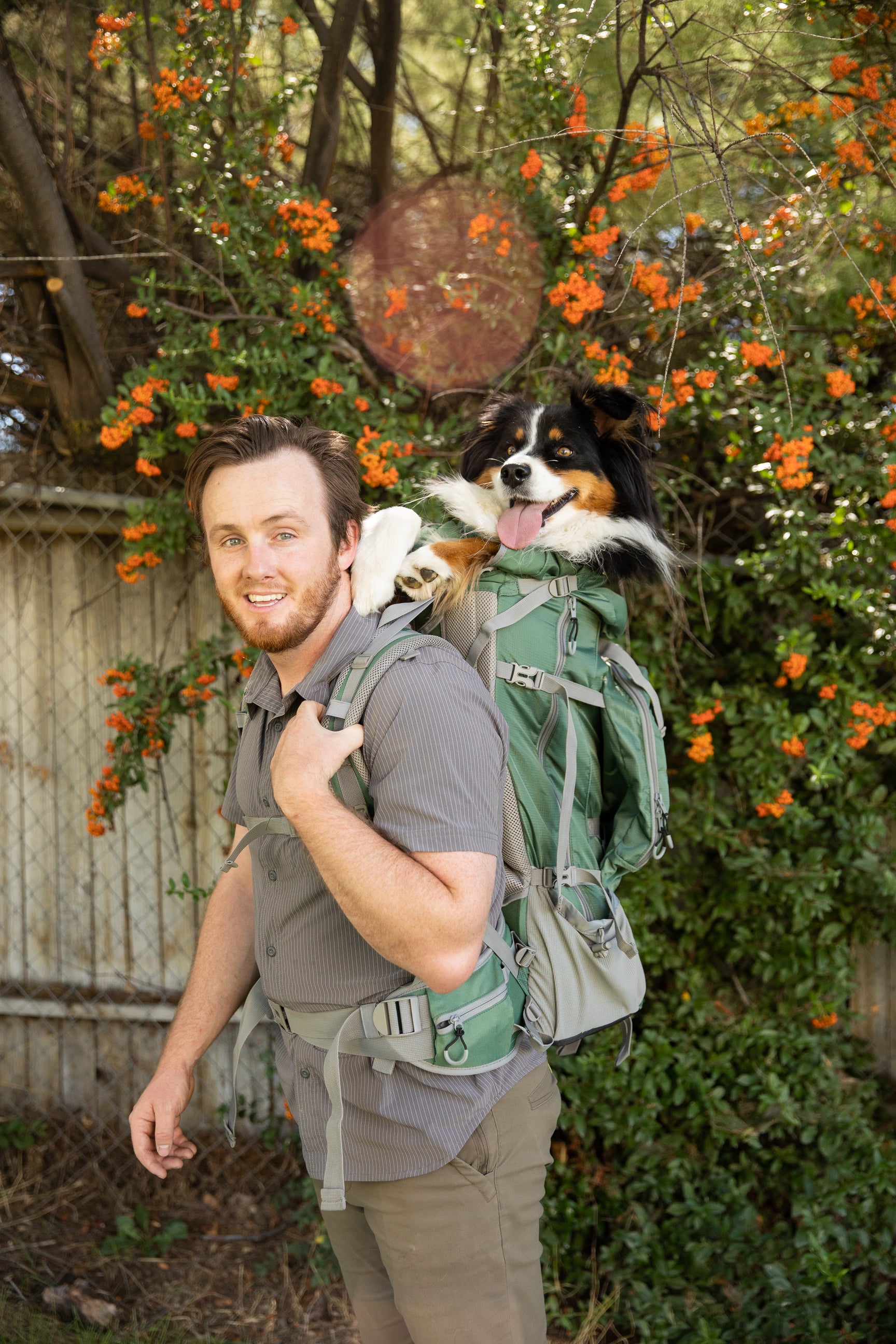 The Best Golden Retriever Backpack Carrier for Your Furry Friend K9
