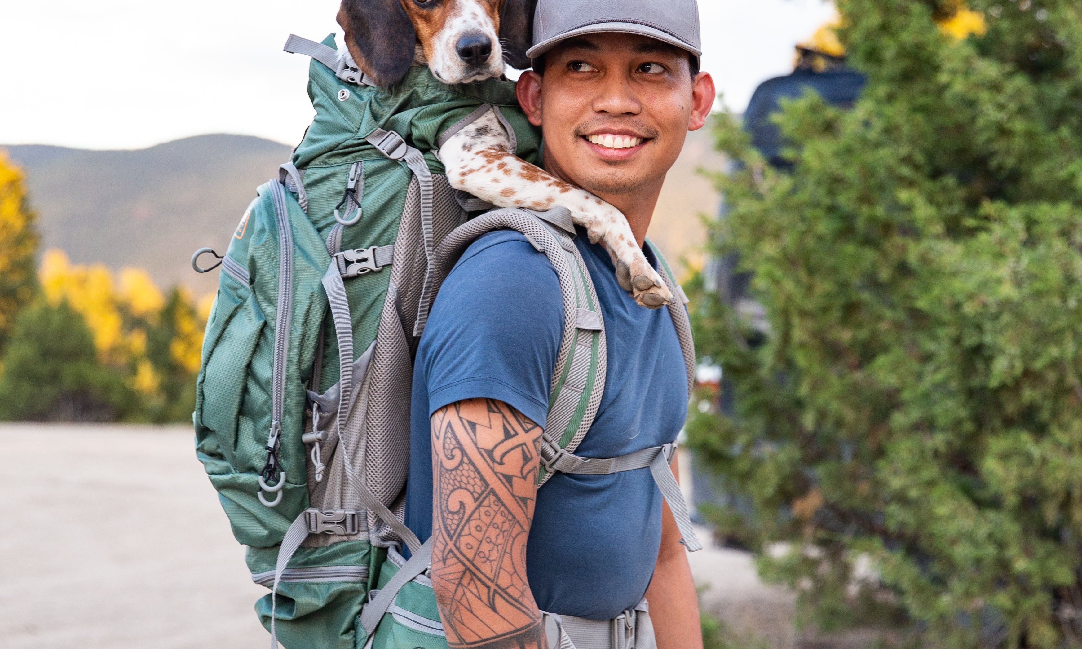 The Best Pet Carrier for Flying: A Comprehensive Guide