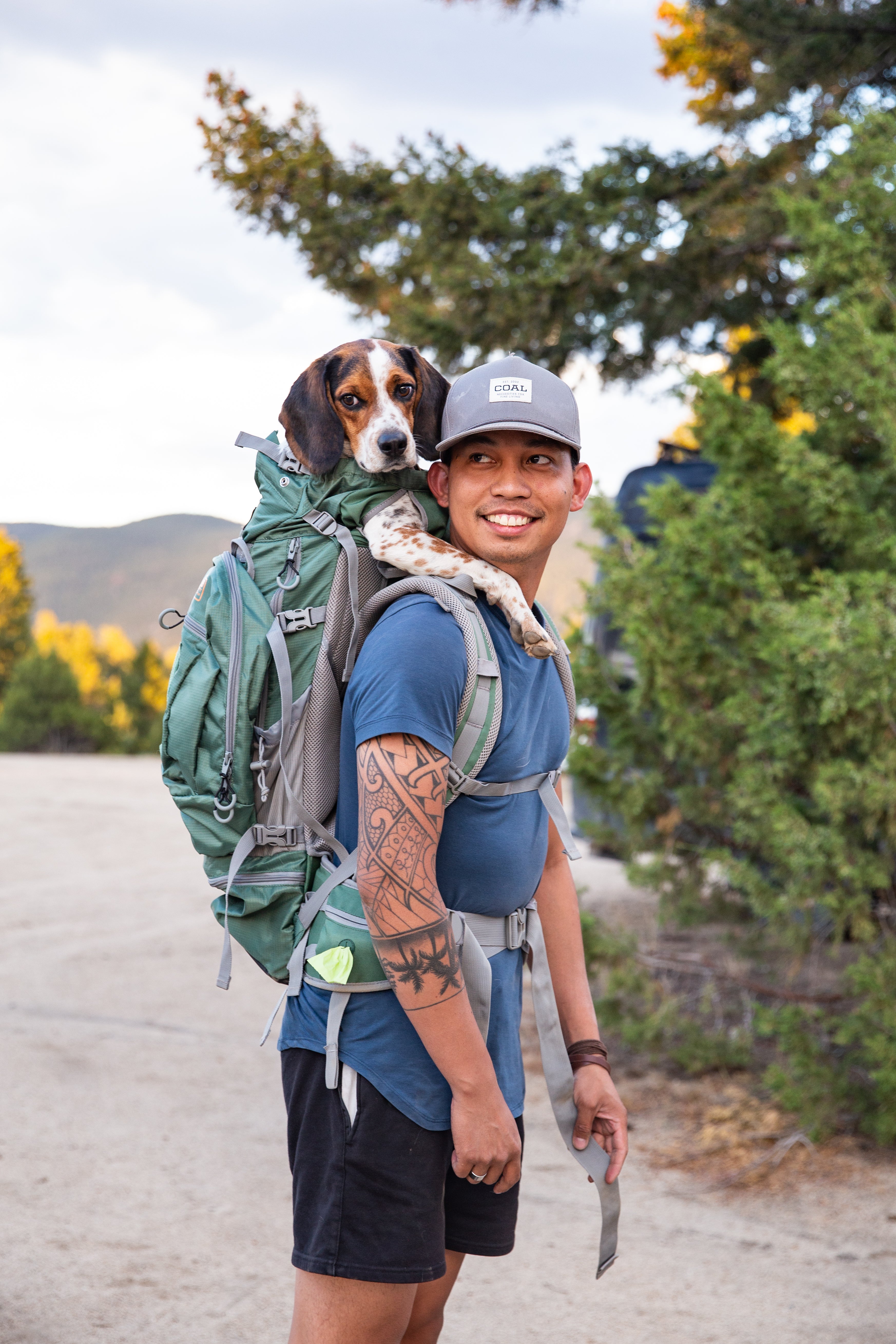 The Best Pet Carrier for Flying: A Comprehensive Guide