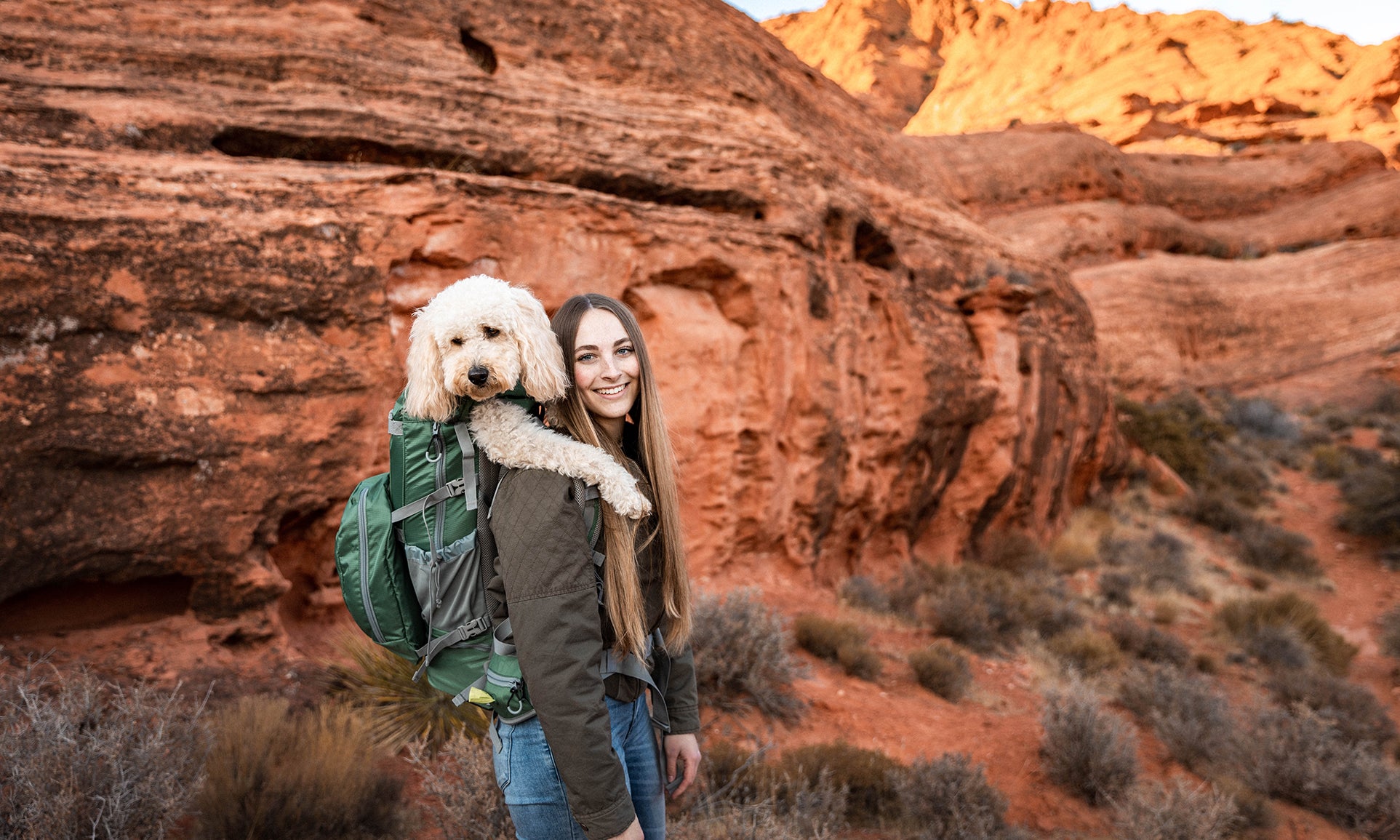 The Best Dog Carrier for Hiking: A Comprehensive Guide