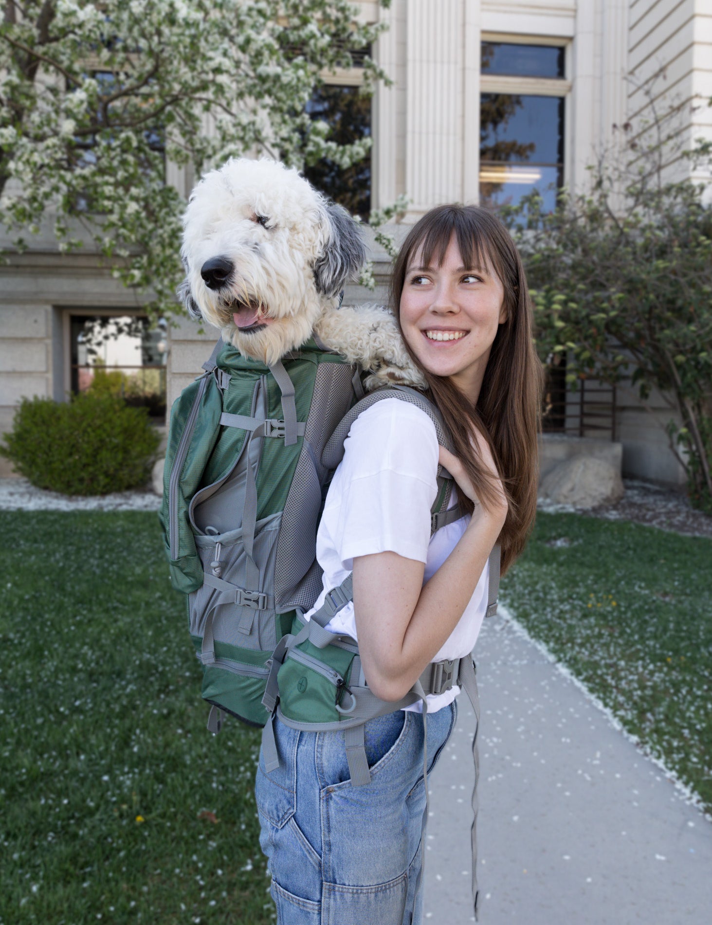 Best Dog Carriers for Medium Dogs