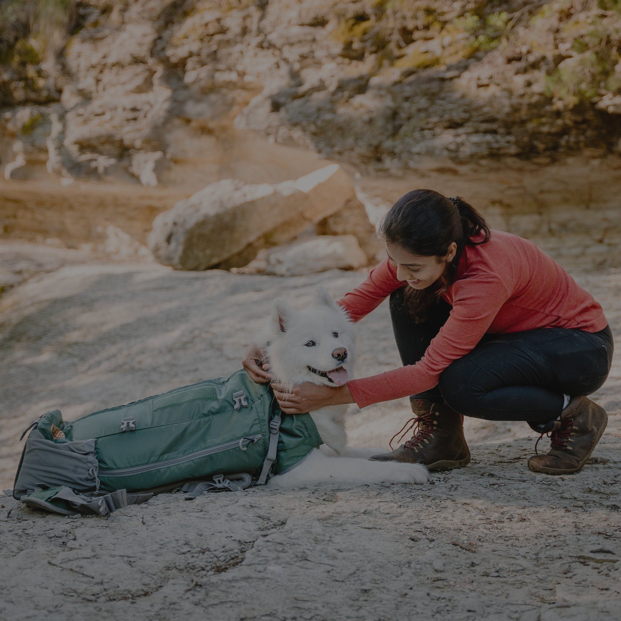 A woman securing her white husky in a K9 Sport Sack Rover 2 on the ground before putting it on her back.