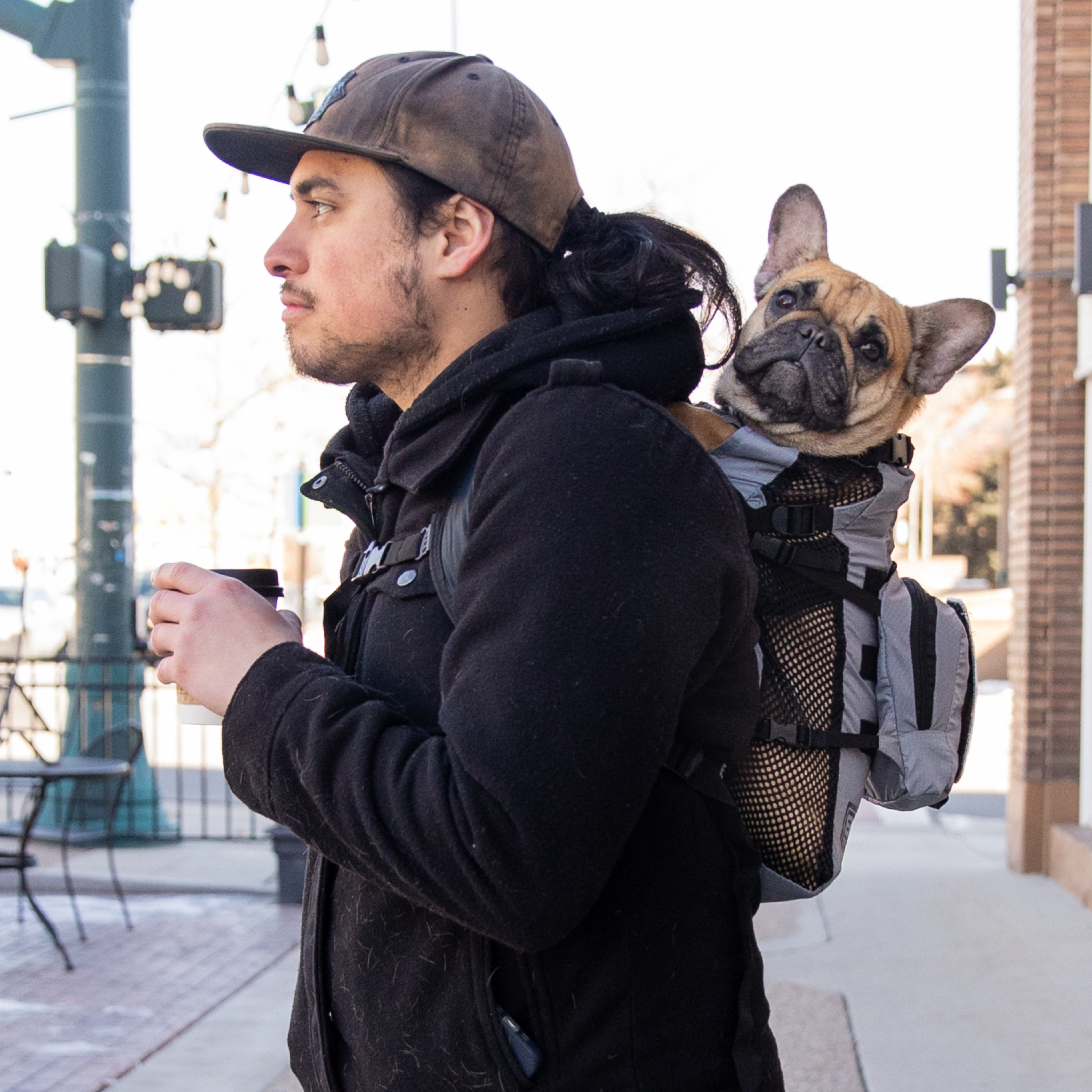 K9 sport sack french bulldog clearance