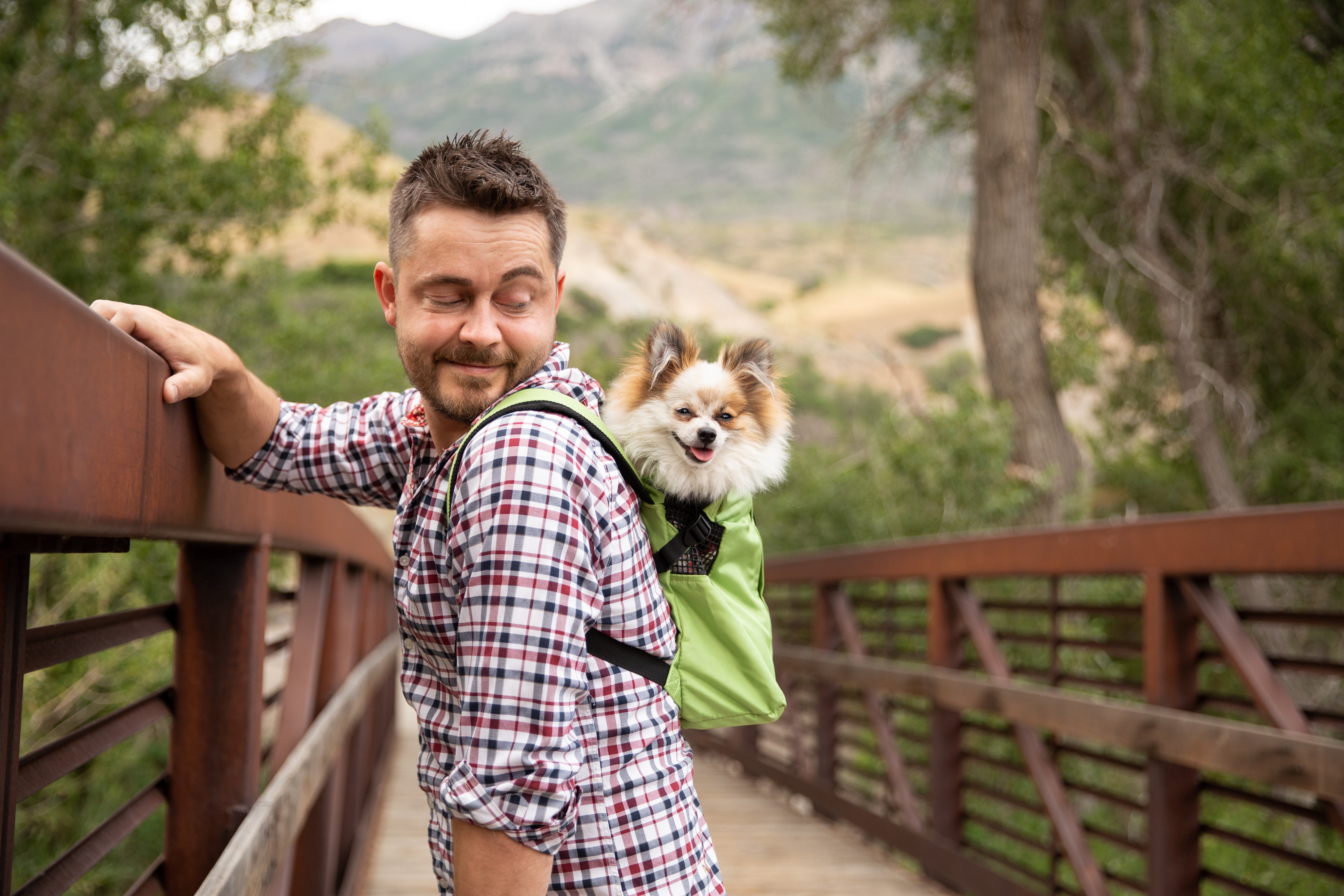 A small pomeranian rides in a Trainer carrier