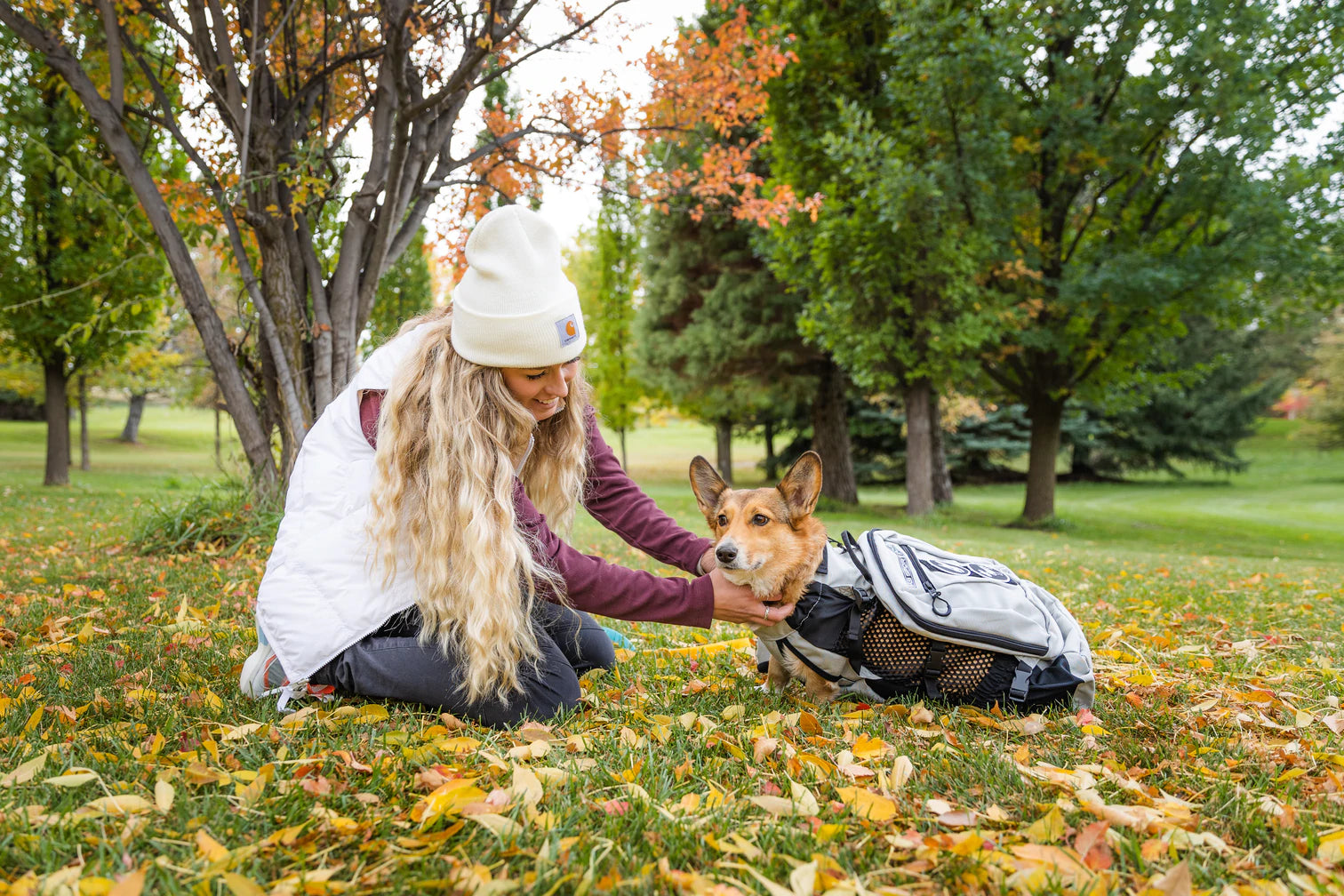 How to Use K9 Sport Sack