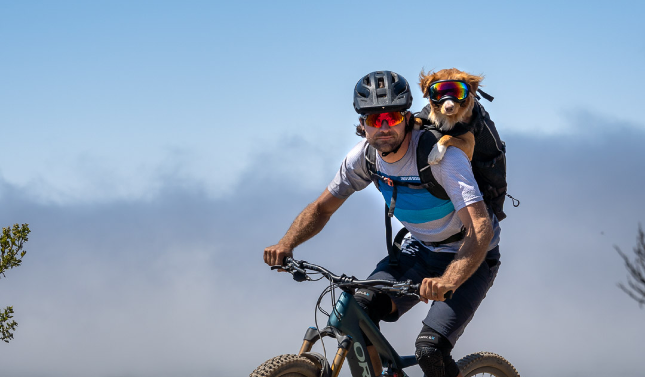Man biking with dog backpack carrier
