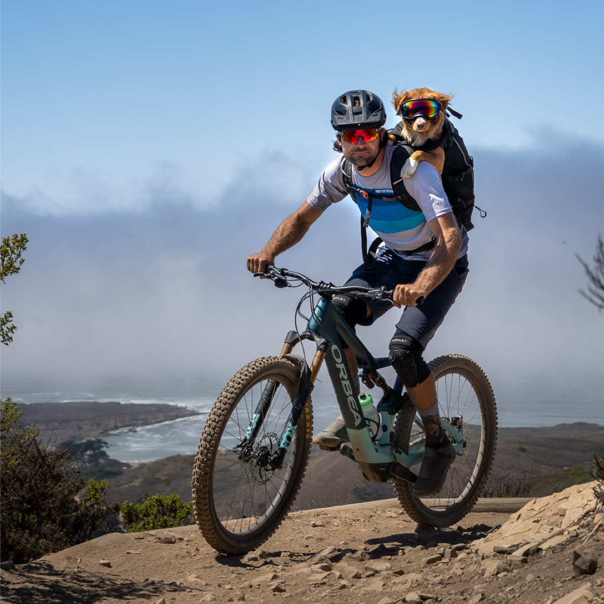 A man mountain bikes with his dog riding along in a K9 Sport Sack Knavigate backpack carrier