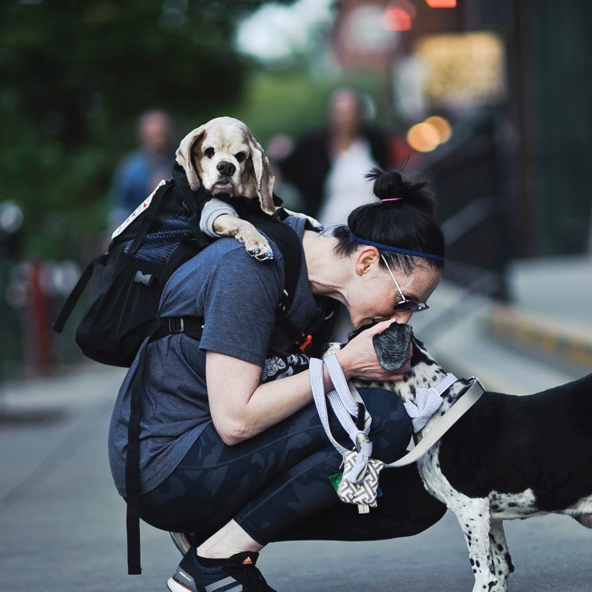The Front Facing Dog Backpack Carrier K9 Sport Sack