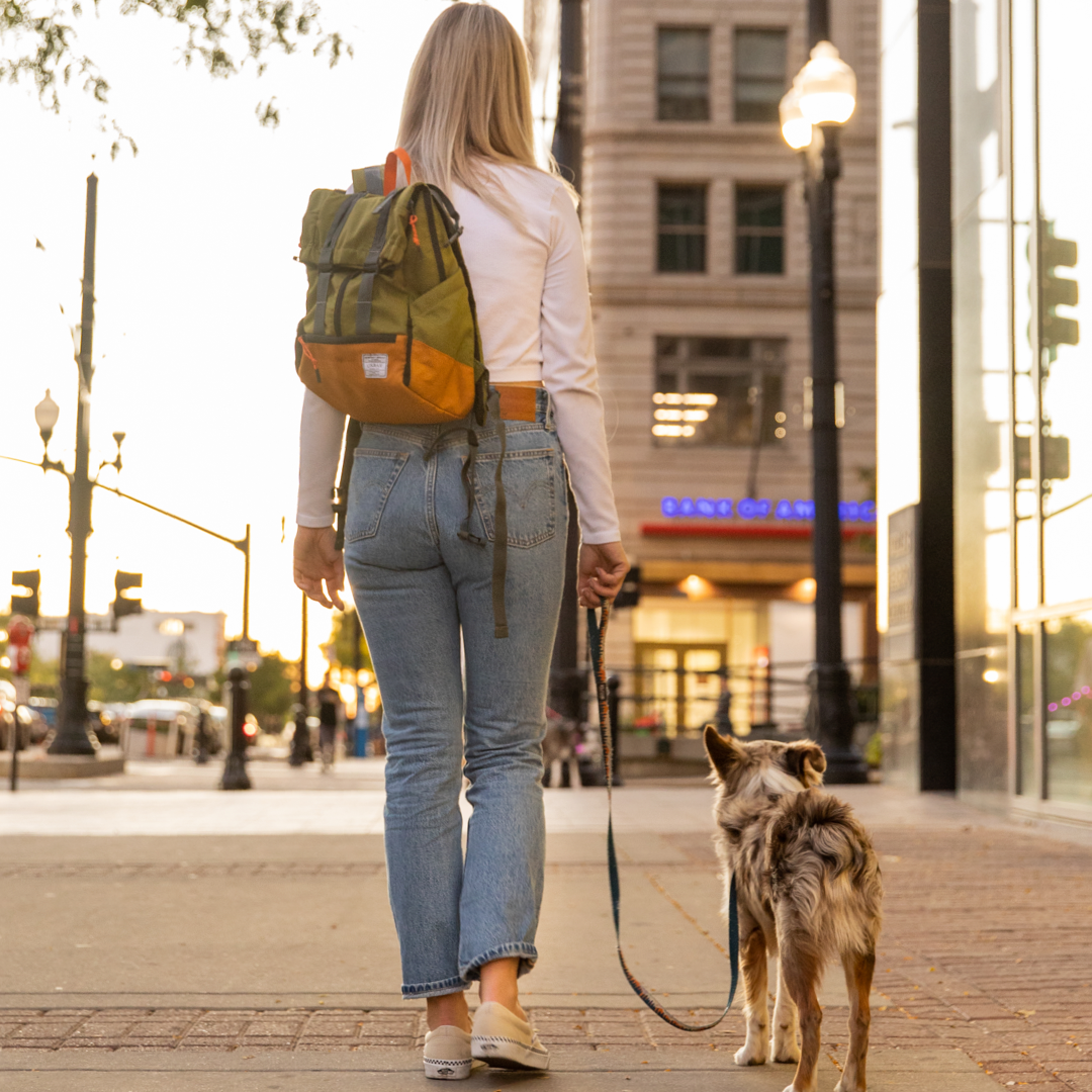 Klearance Urban 3 | Dual Use Dog Carrier & Traditional Backpack