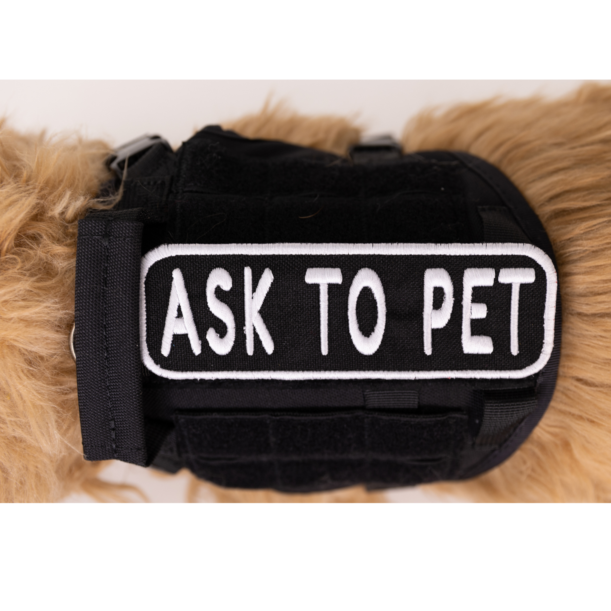 Ask to Pet 2x6 Patch