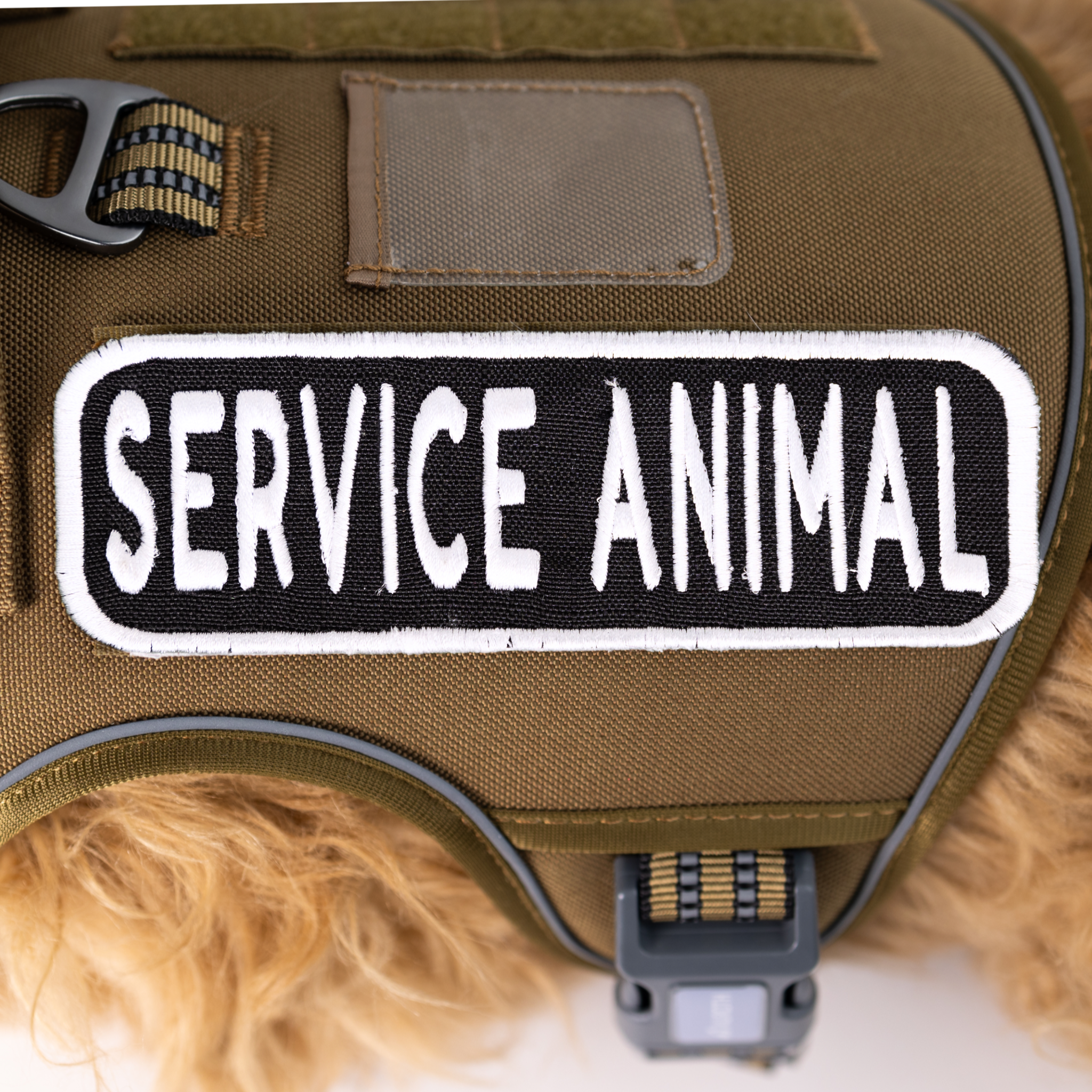 Service Animal 2x6 Patch