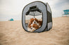 small dogs in pop up beach tent 