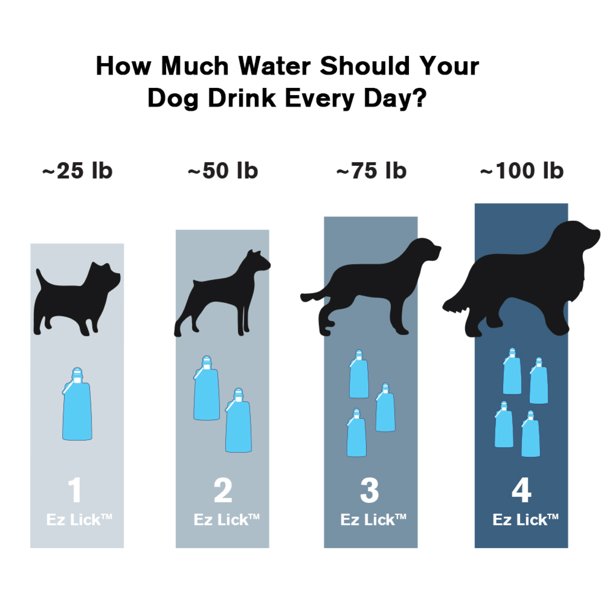 Dog water drinking cycle