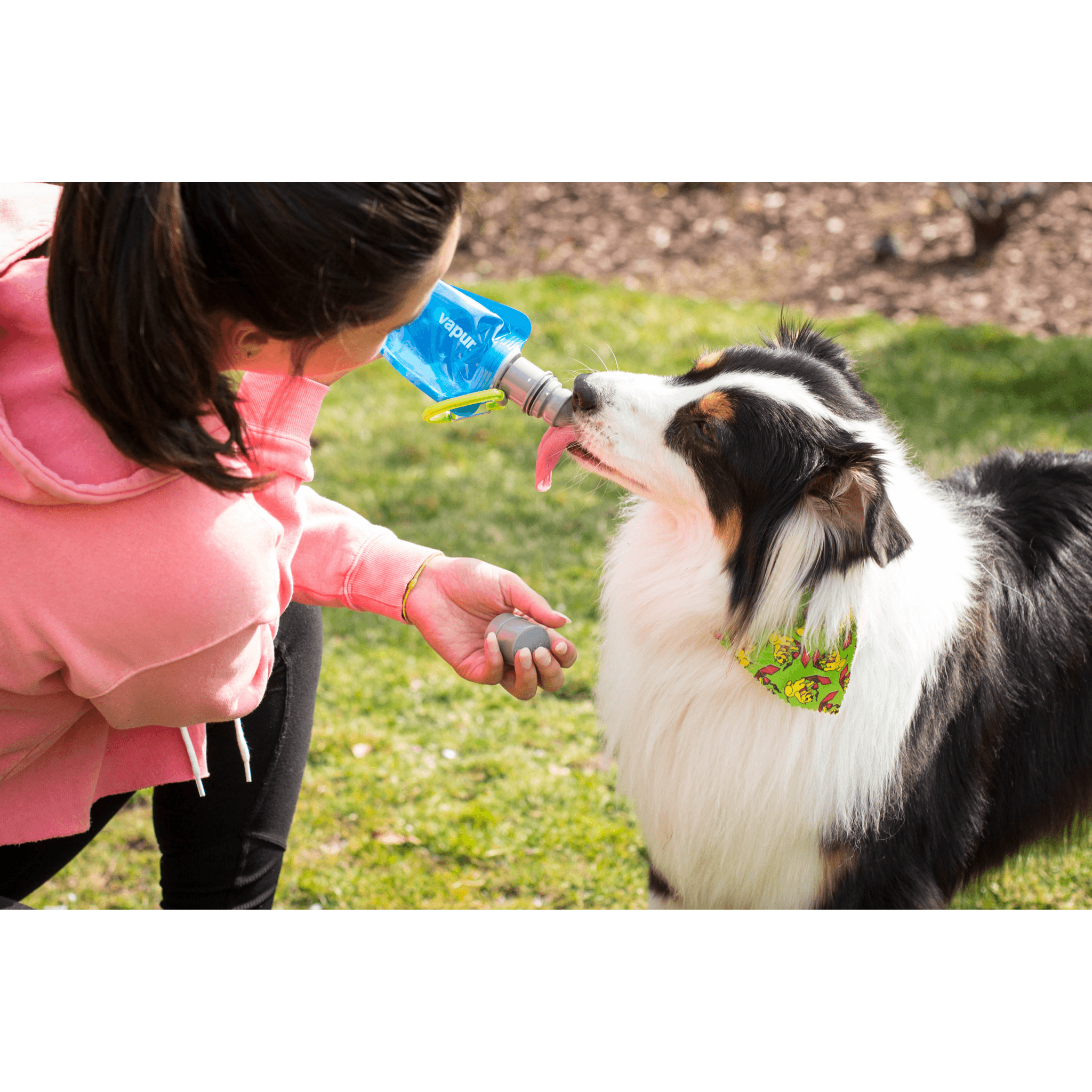 Cool pooch water bottle best sale