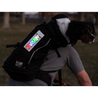 glo banner dog