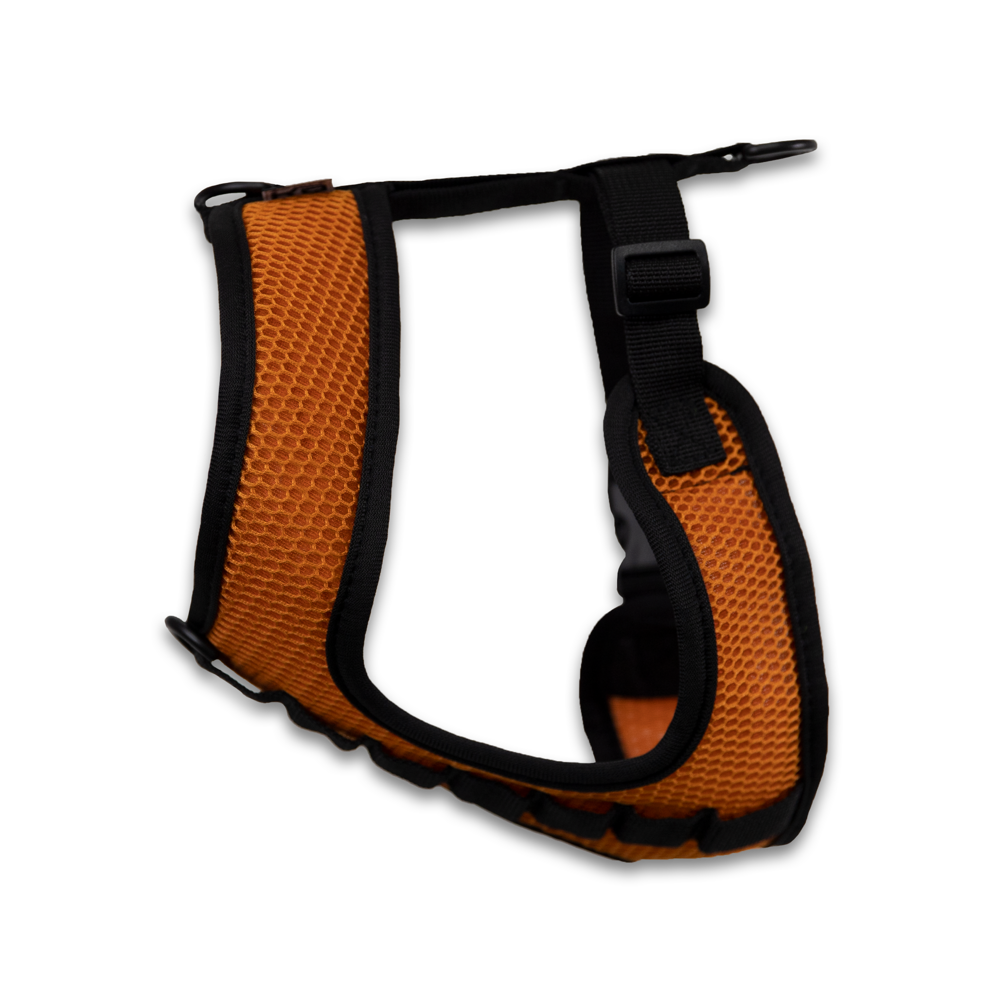 Harness Side Sunset