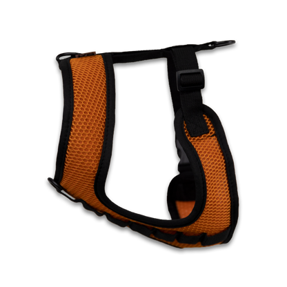 Harness Side Sunset