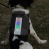 k9 sport sack patch