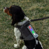custom k9 patches