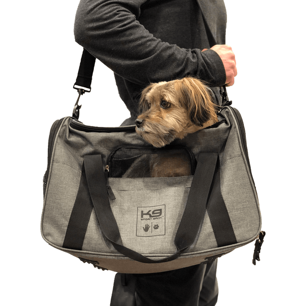 K9 sport sack hot sale petsmart